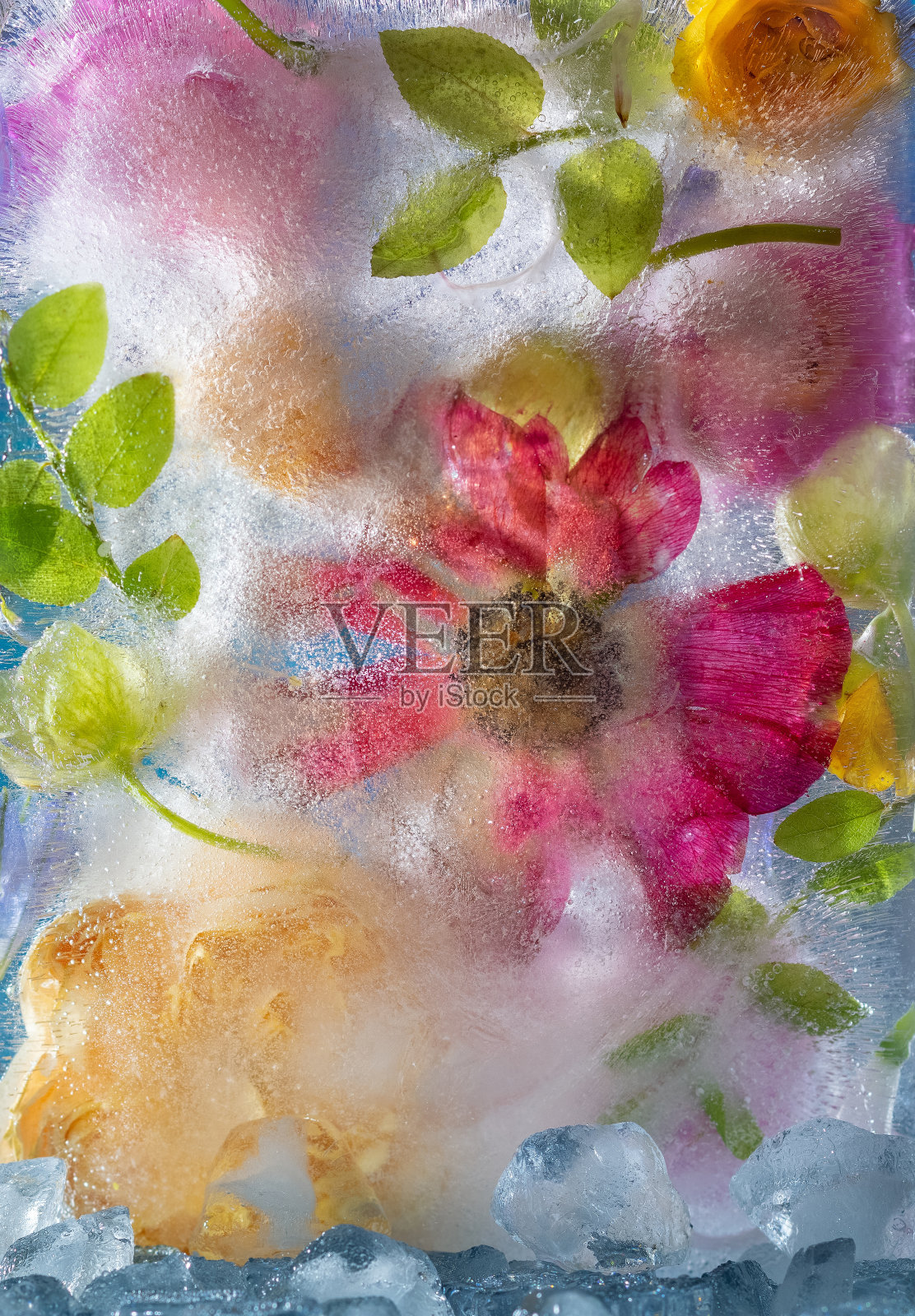 冰冻的花合在一起。被冰包围的冻玫瑰。照片摄影图片