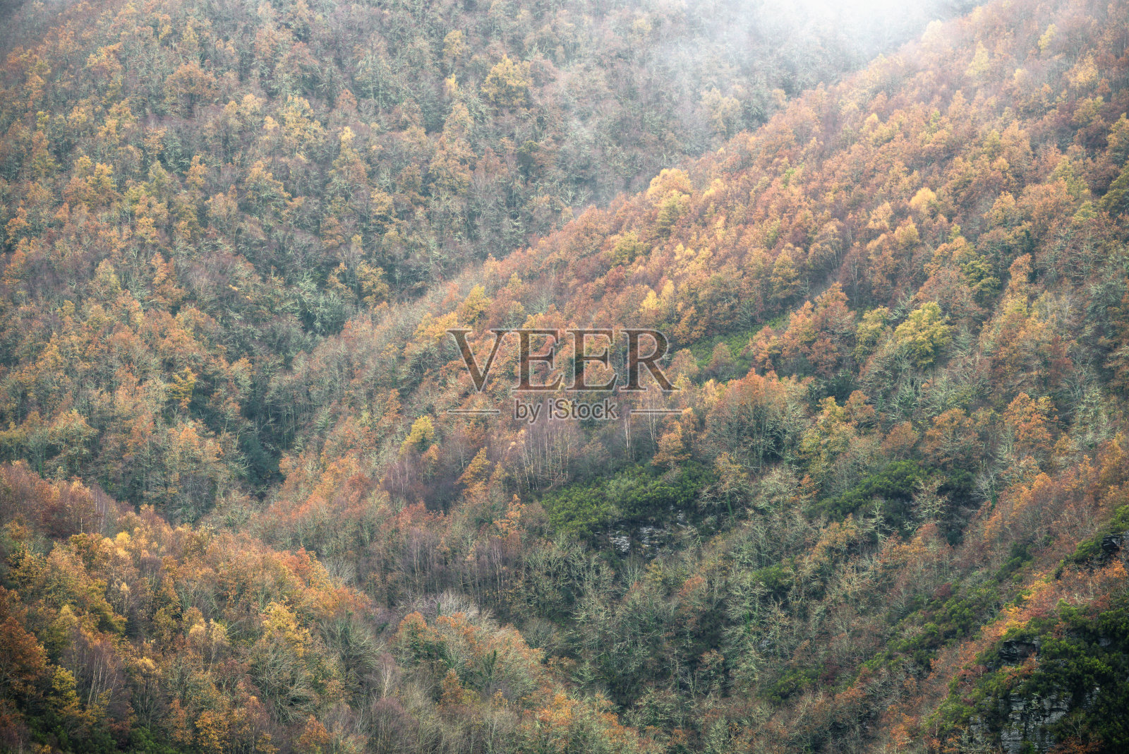 广阔的秋季森林覆盖了伊里比奥山的山坡照片摄影图片