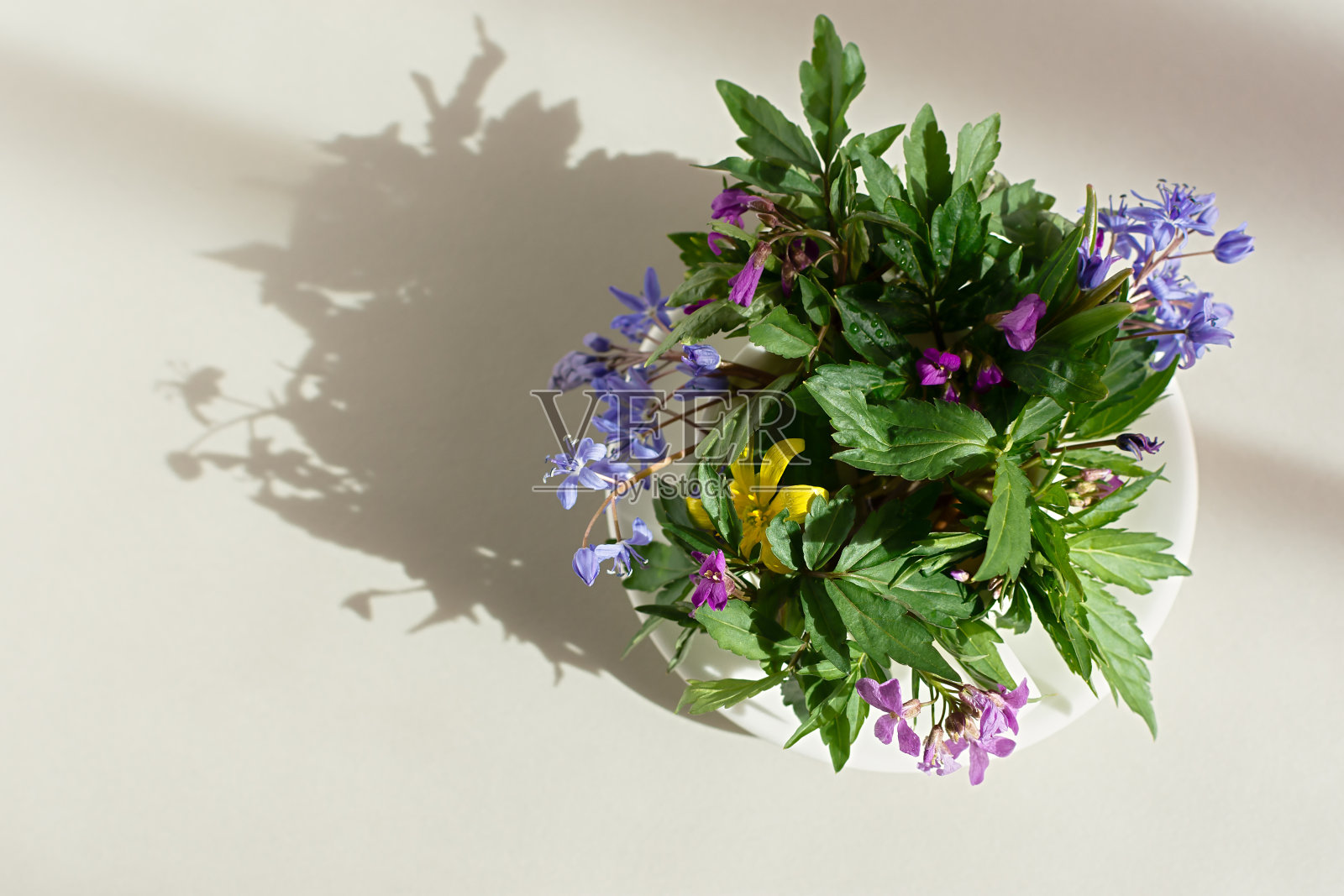 母亲节快乐。复活节快乐。照片摄影图片