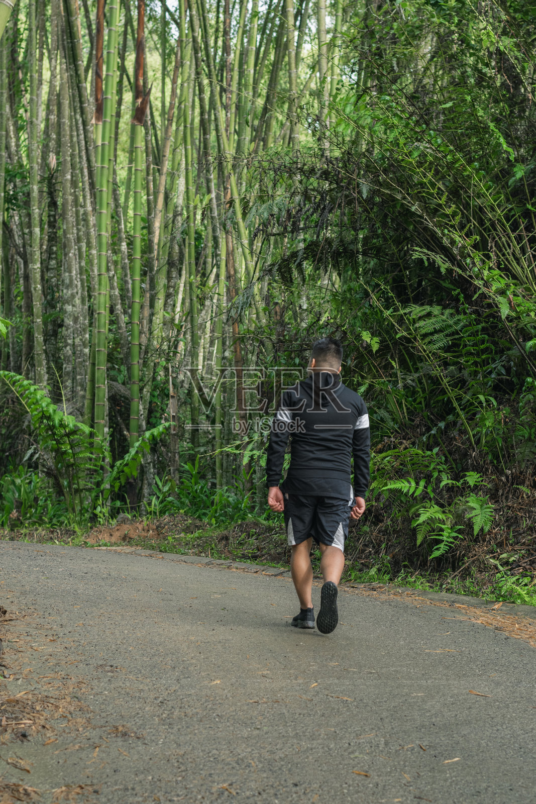 一个拉丁男子走在哥伦比亚竹林中央的小道上。南美洲美丽的丛林，人们思索着大自然之美，呼吸着新鲜空气。生态学的概念。照片摄影图片
