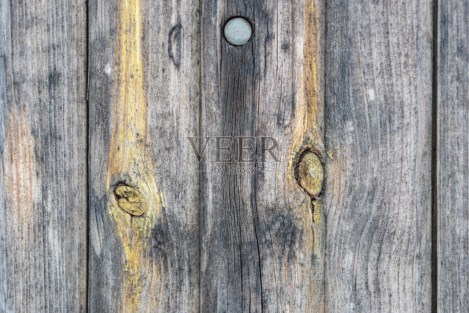 纹理粗糙的老木材，木材老化过程呈黄灰色。特写镜头。照片摄影图片