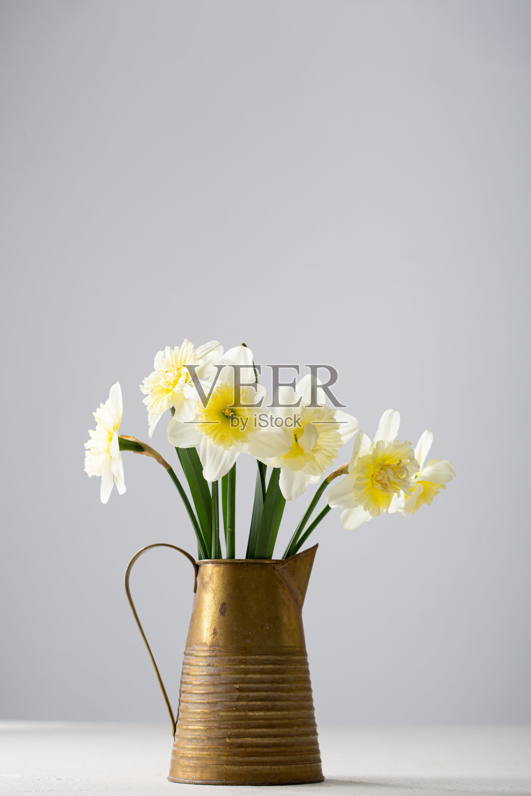 在浅表面的水罐中盛开的春花照片摄影图片