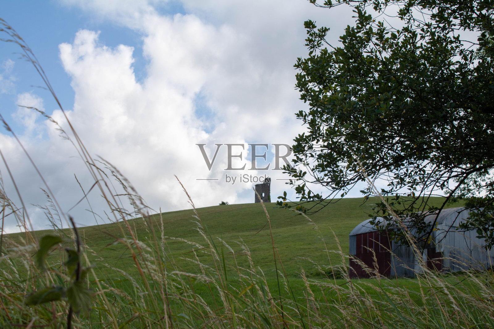 爱尔兰科克郡的巴雷特城堡照片摄影图片