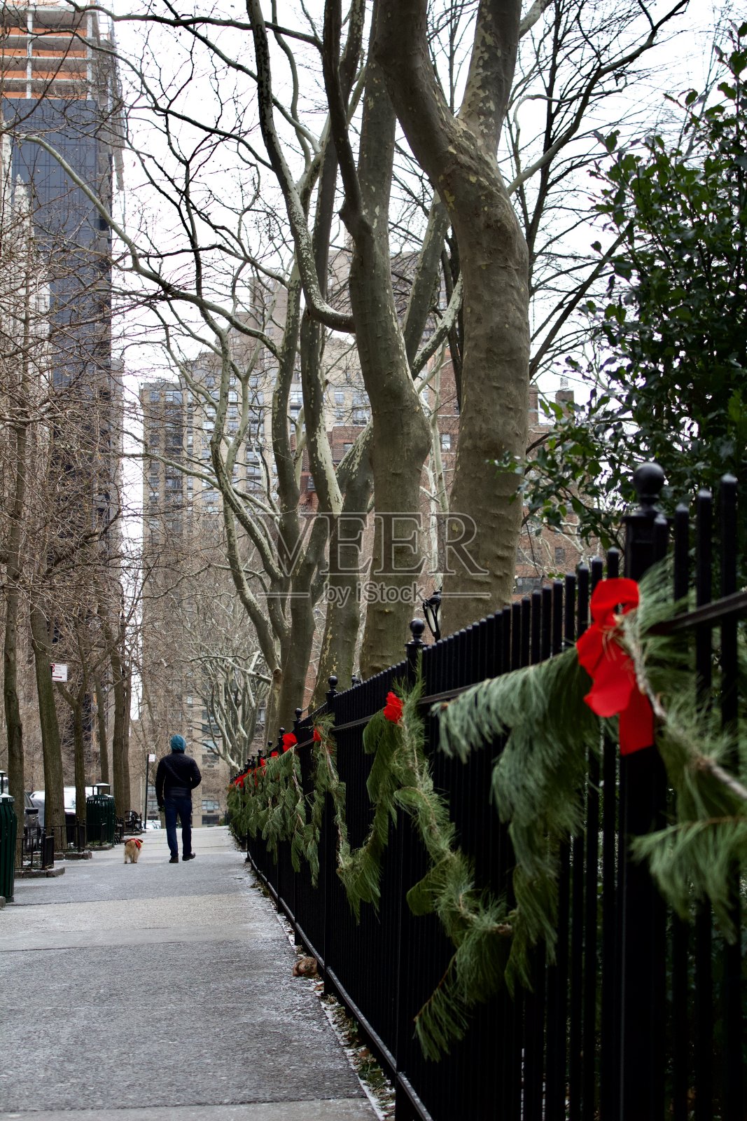 纽约的假日街照片摄影图片