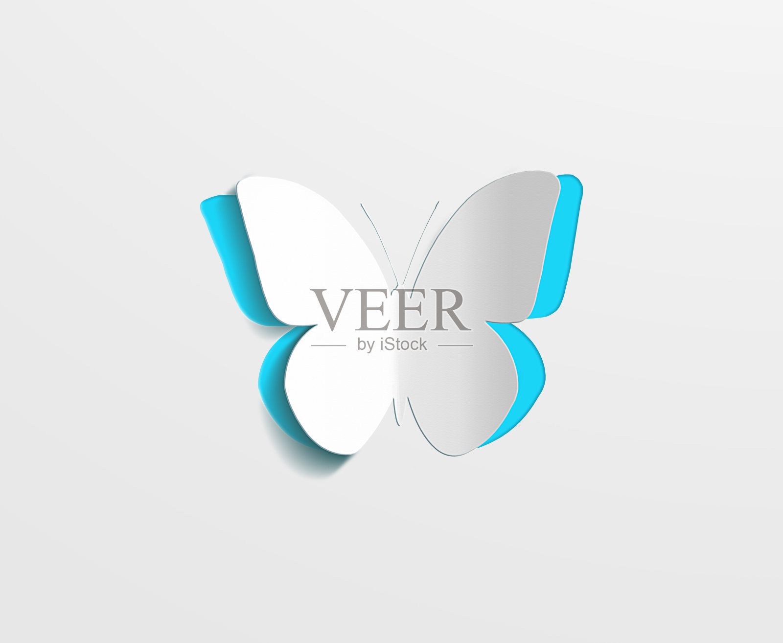 白色背景上的纸蝴蝶。爱情和情人节的概念。俯视图照片摄影图片