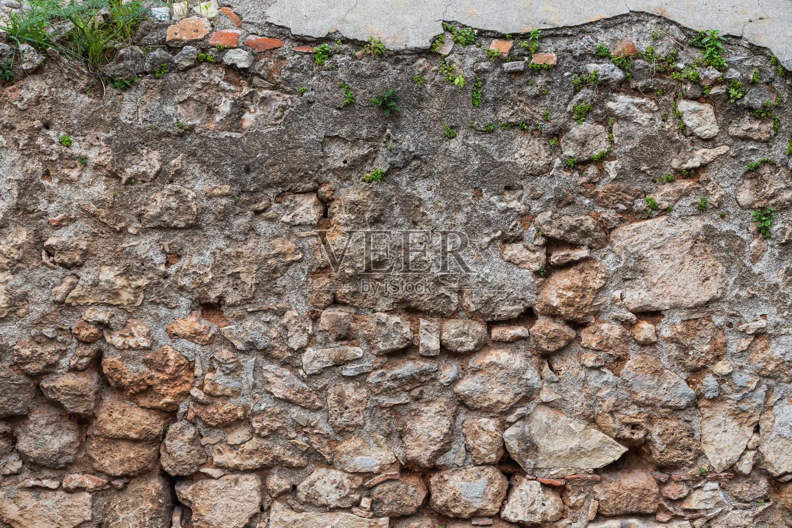特写镜头照片摄影图片