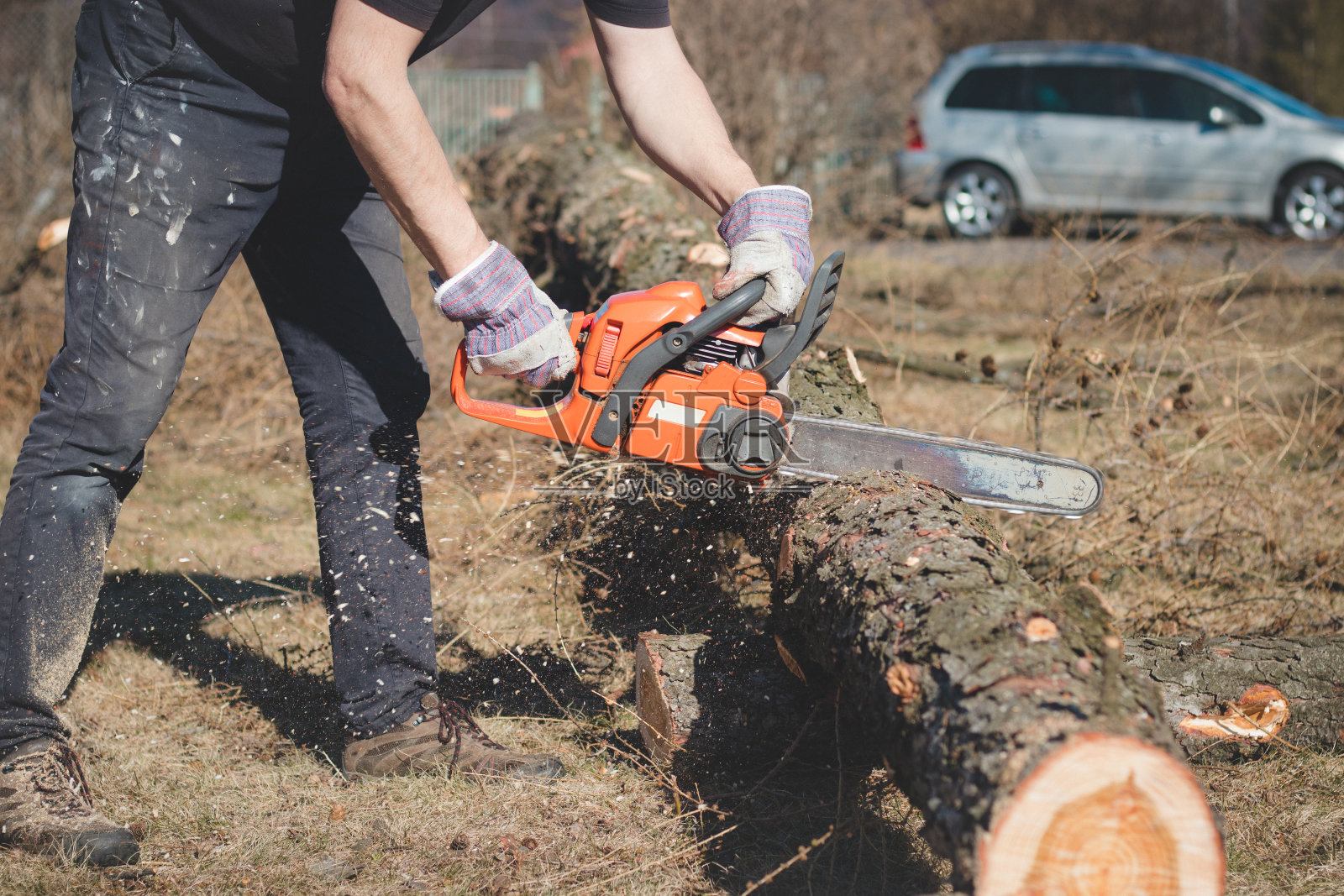 身穿工作服的工头用电锯切割一棵干树，以备后期处理。在森林里伐木。电锯工作的特写。锯屑从链条上飞了出来。在自然和阳光下的工作日照片摄影图片