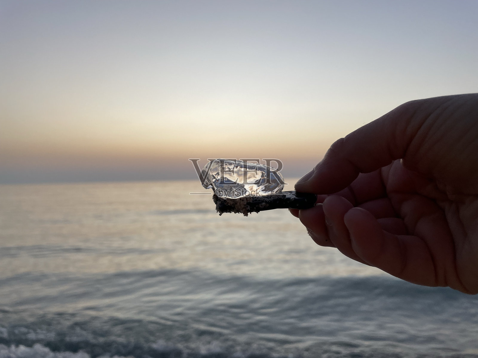 水母照片摄影图片