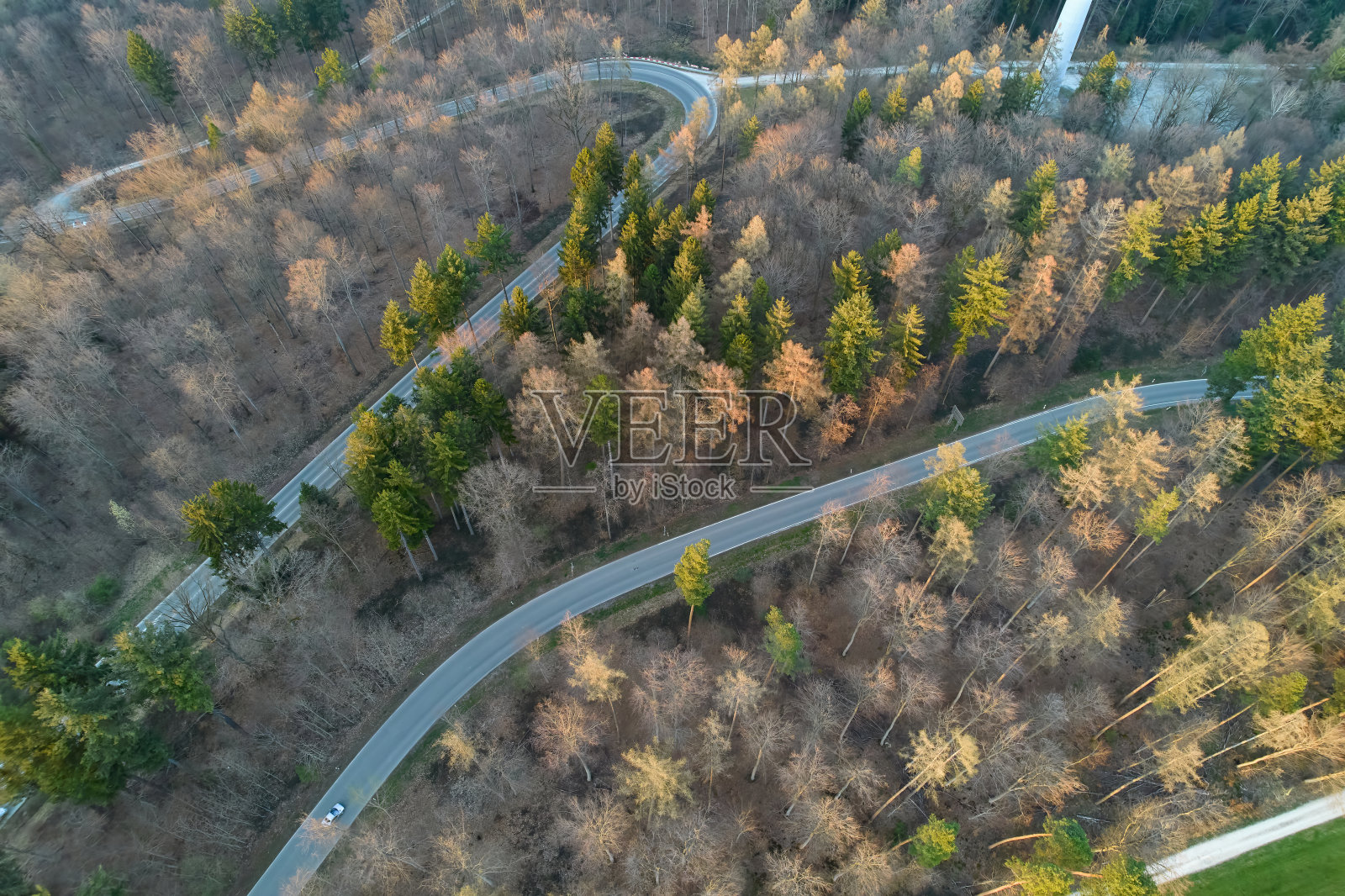 在春天的傍晚，穿过德国混交林的蛇形森林。鸟瞰图中的道路两旁是光秃秃的树木。欧洲夜光下的高角度拍摄。照片摄影图片
