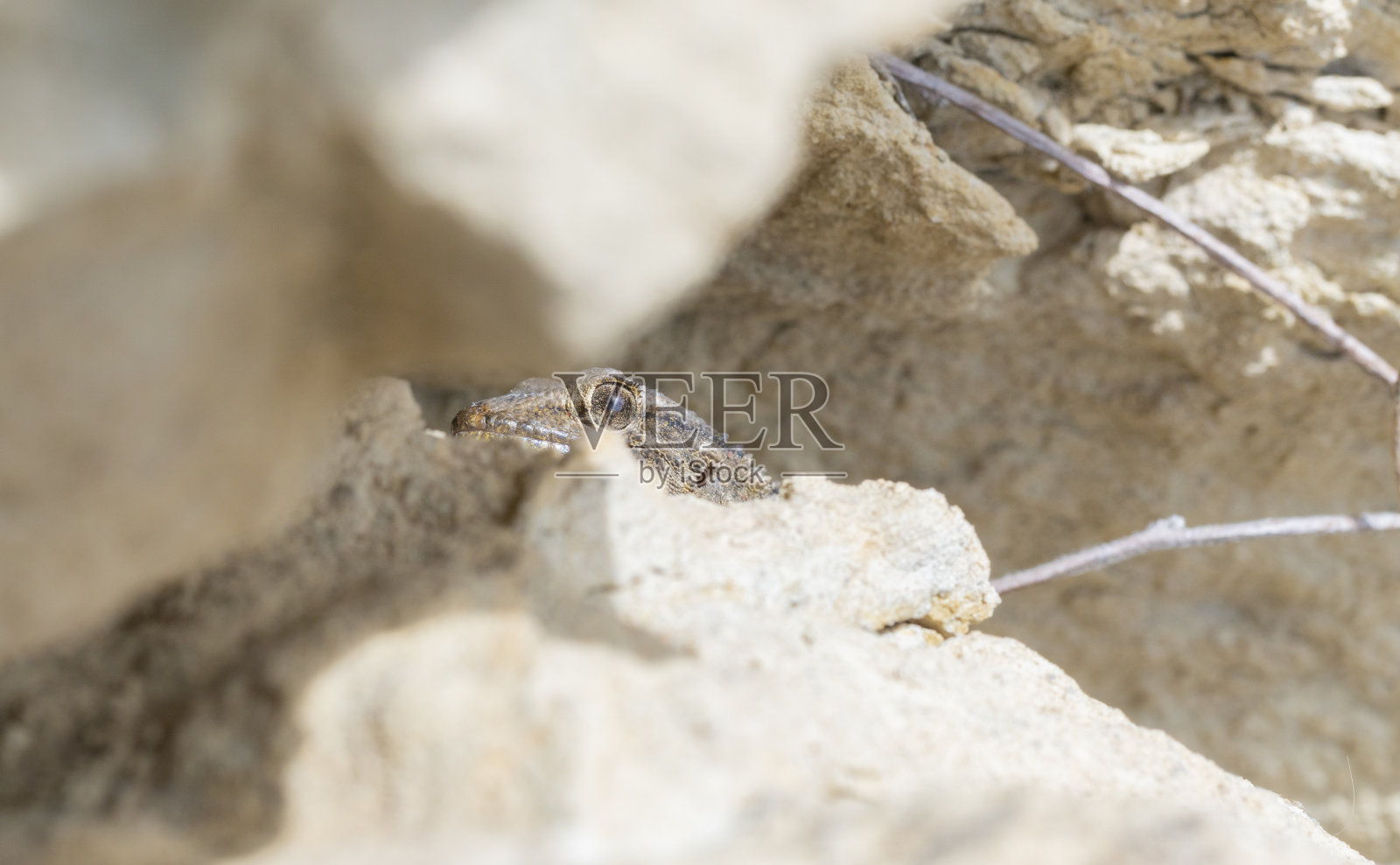 塔伦托拉茅里塔尼察砂岩之间照片摄影图片