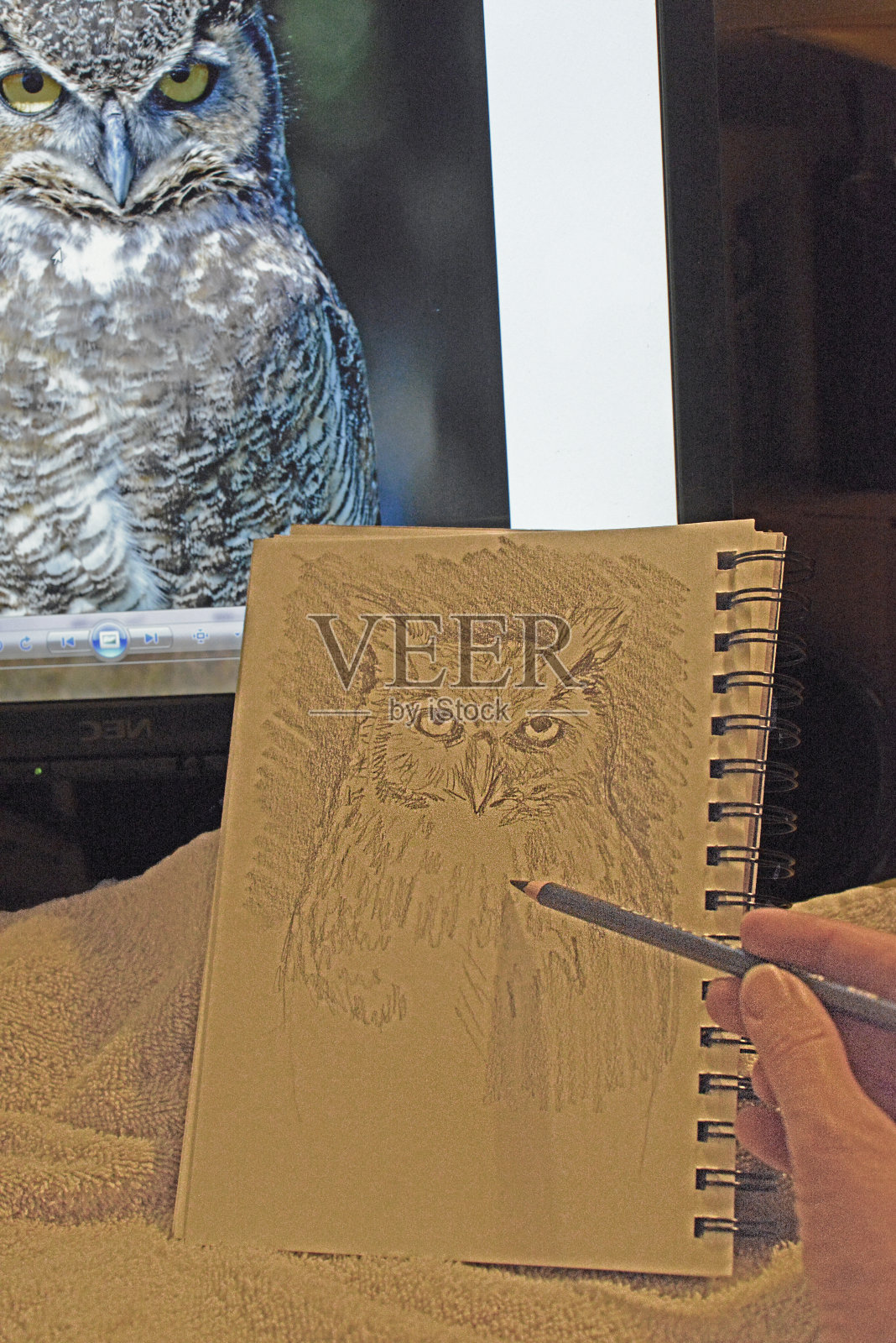 手绘猫头鹰从图像照片摄影图片