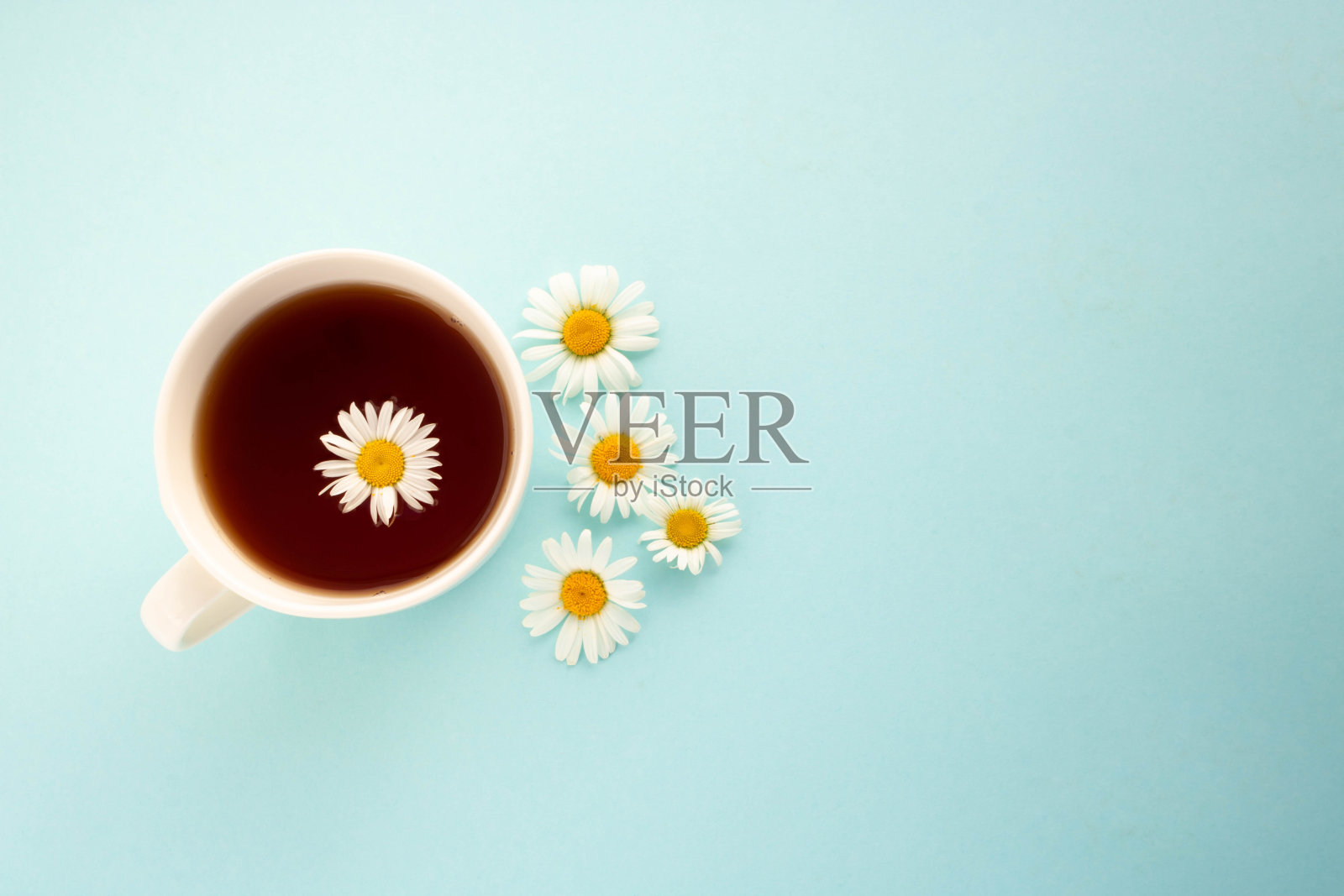 洋甘菊茶。蓝色背景，白色杯子，茶和雏菊。放置文本照片摄影图片