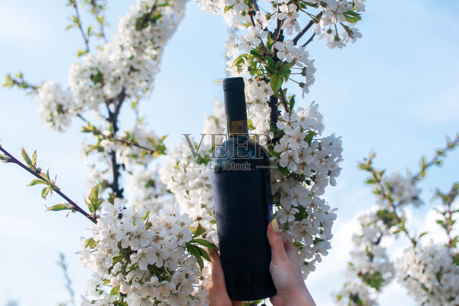 葡萄酒在花丛中照片摄影图片