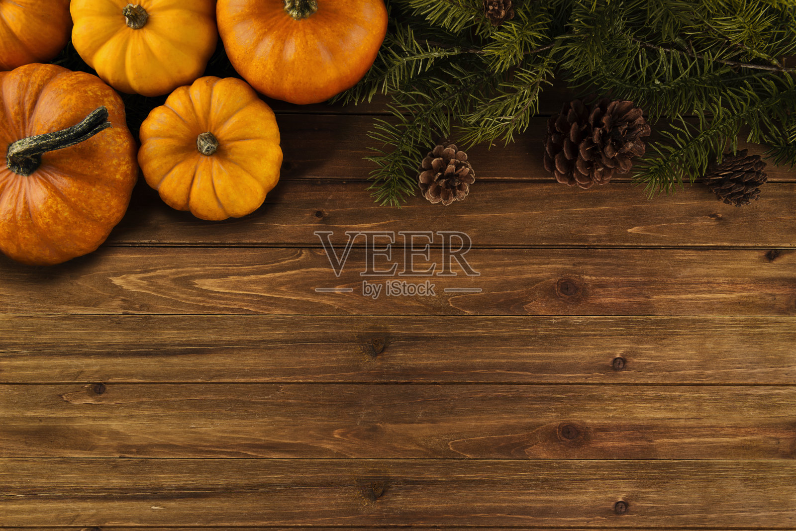 木桌上的南瓜和树枝。照片摄影图片