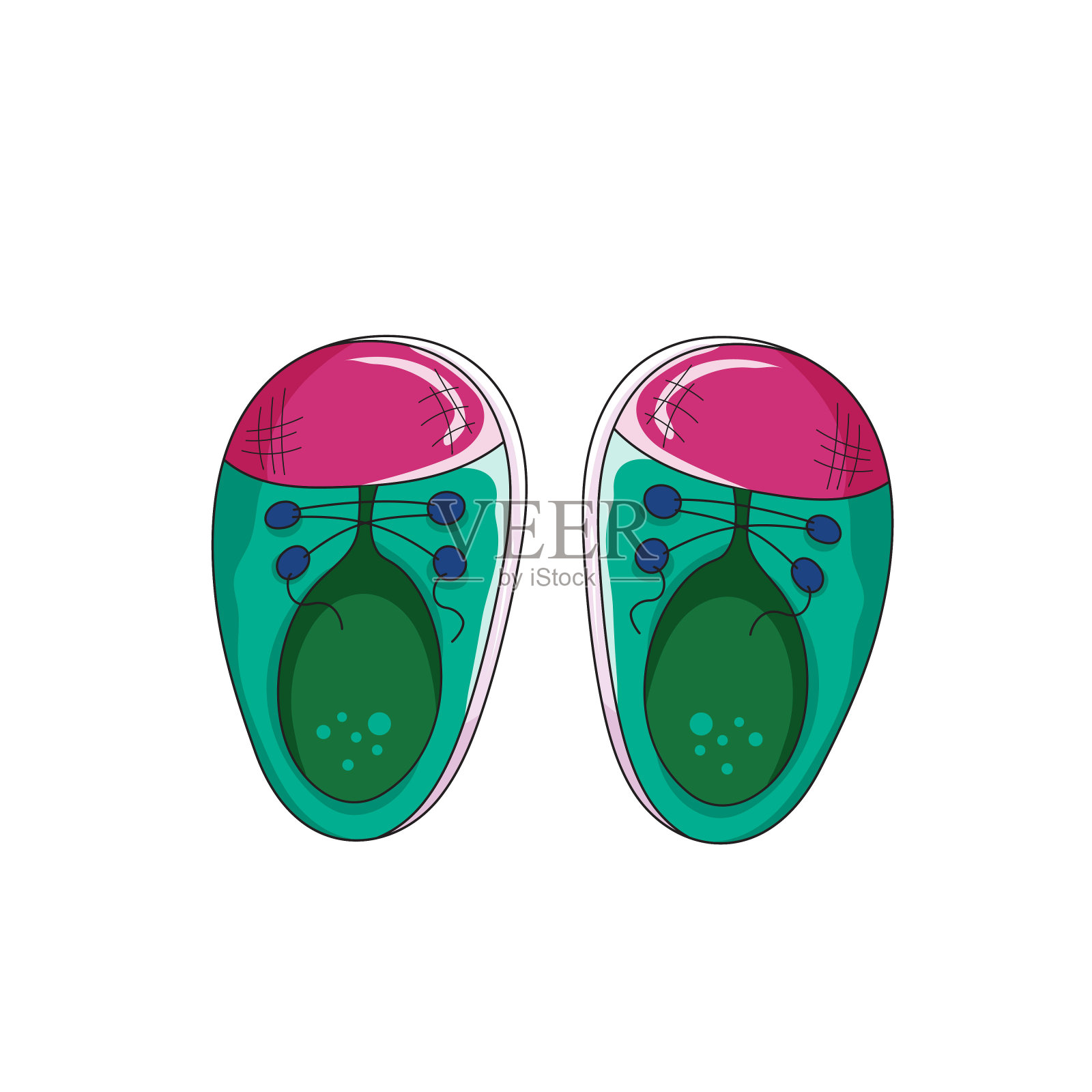 美丽的婴儿拖鞋孤立在白色的背景。祝福可爱的明信片。矢量插图。手绘插画图片素材