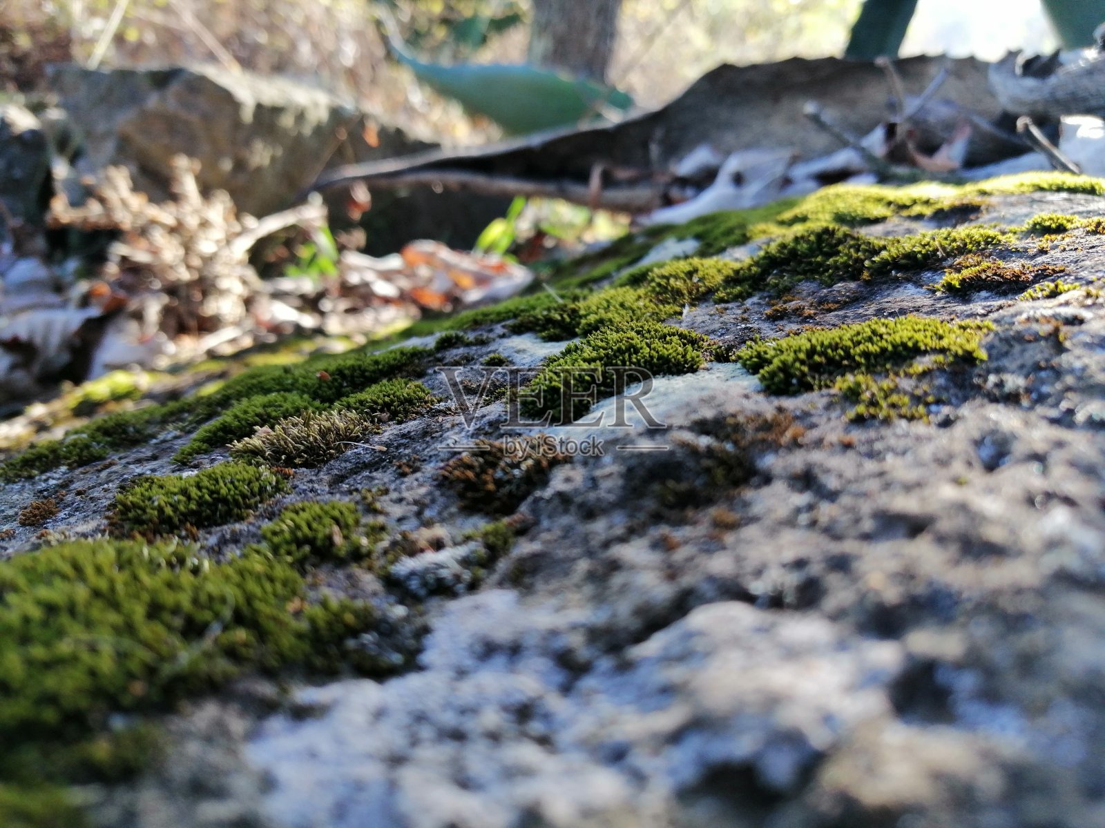 摩丝照片摄影图片
