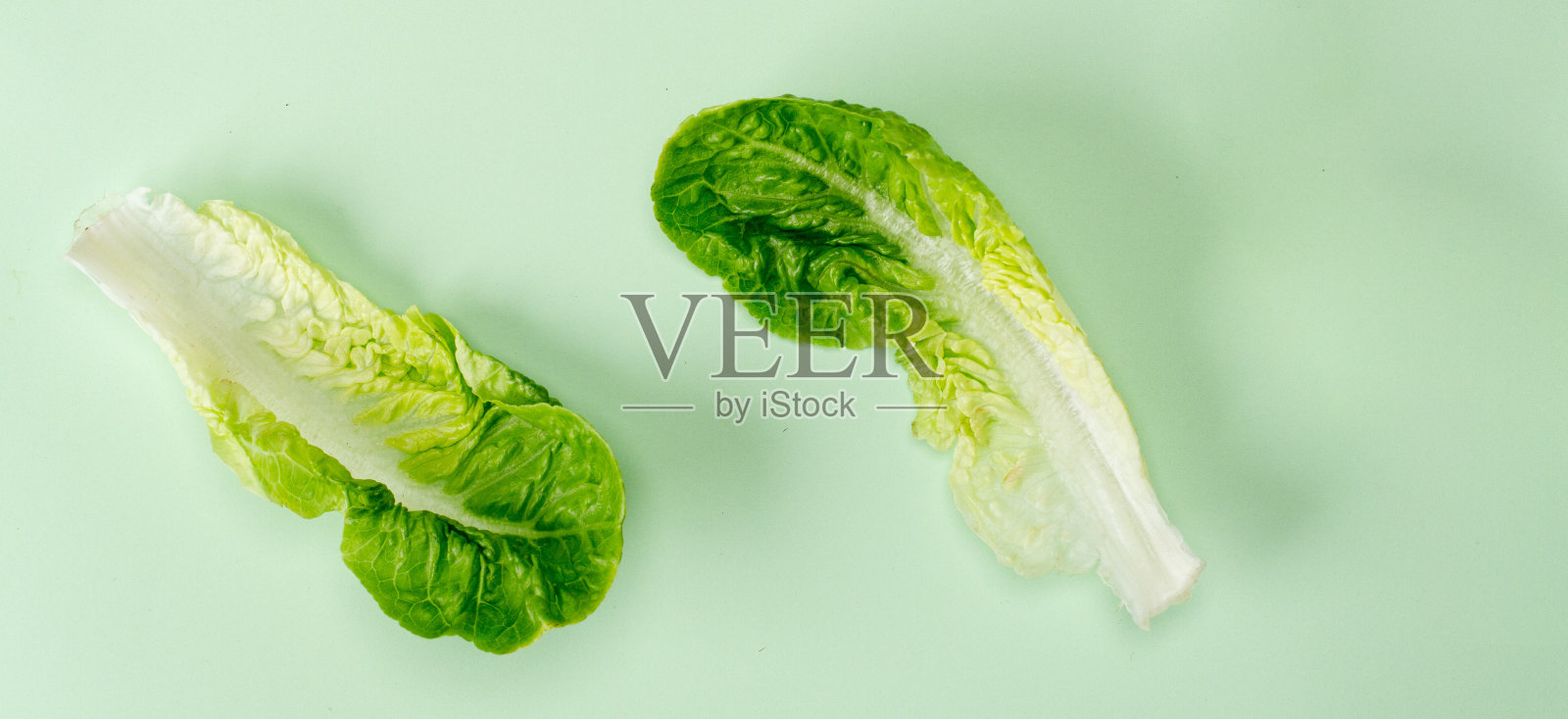 平躺顶视图沙拉孤立在薄荷柔和的背景与阴影。横幅取向照片摄影图片