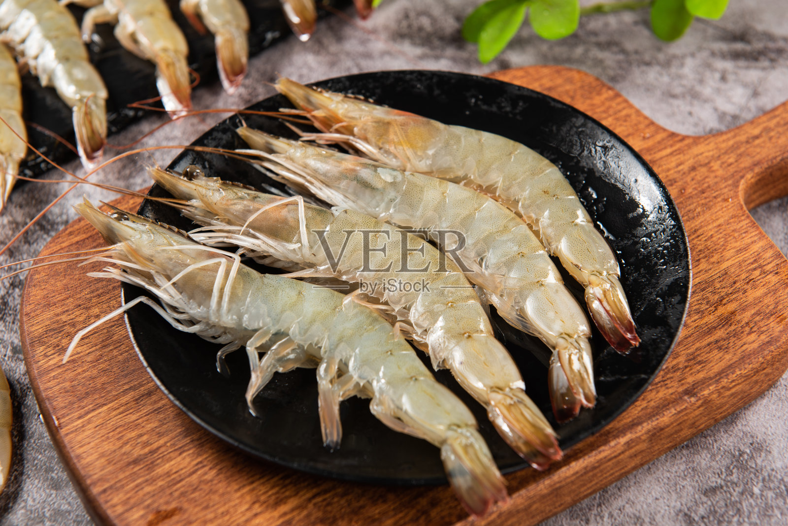 餐桌上的新鲜生白虾或对虾照片摄影图片