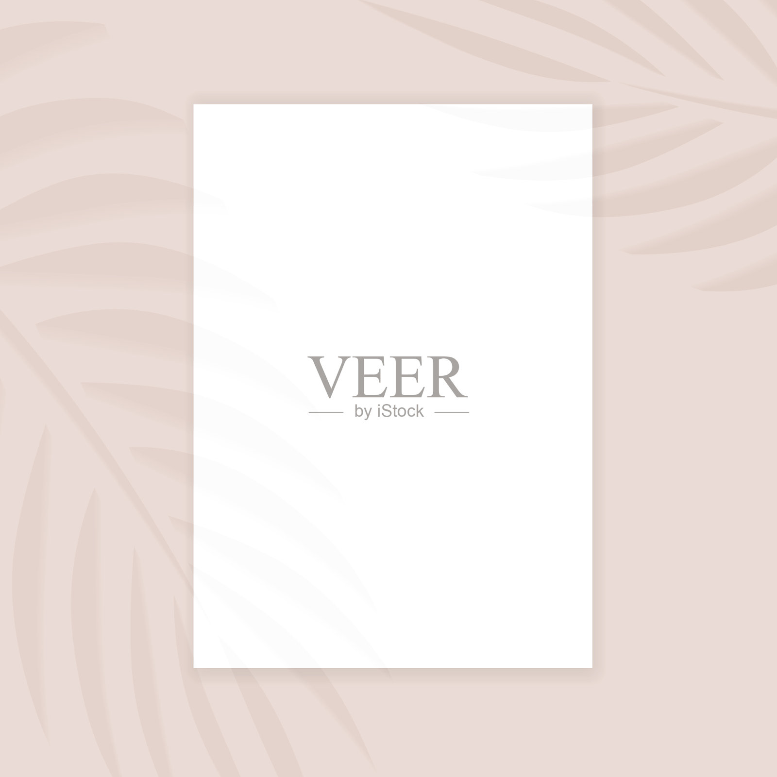 空的白色a4纸与棕榈叶阴影，演示模型，海报，传单插画图片素材