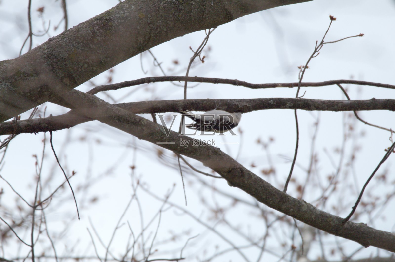 进入你正在做的事情。照片摄影图片
