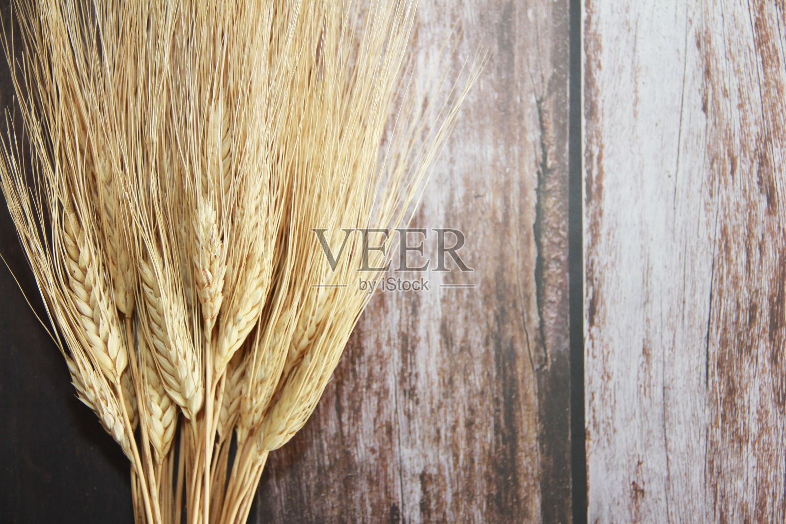 带有谷物的干小麦穗照片摄影图片