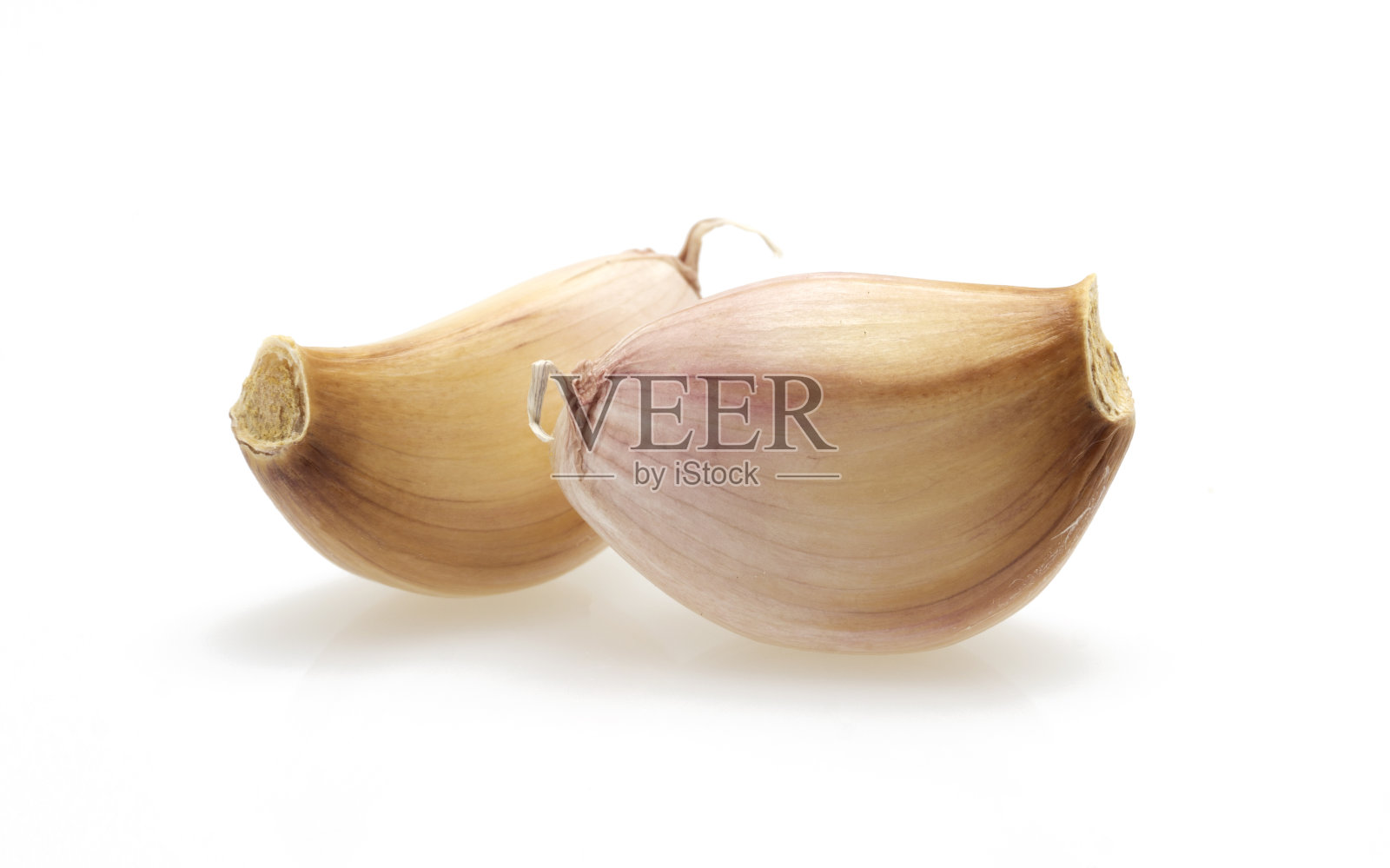 白色底色的新鲜大蒜。照片摄影图片