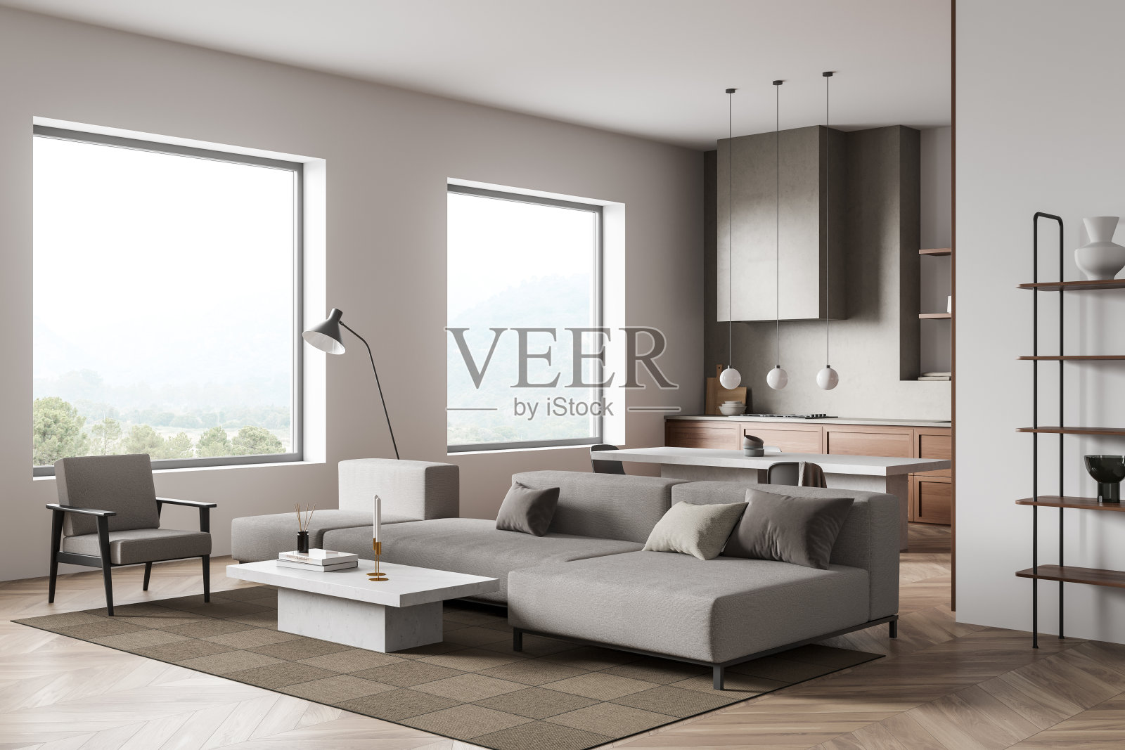 厨房内部与沙发和座位与架子，全景窗户照片摄影图片