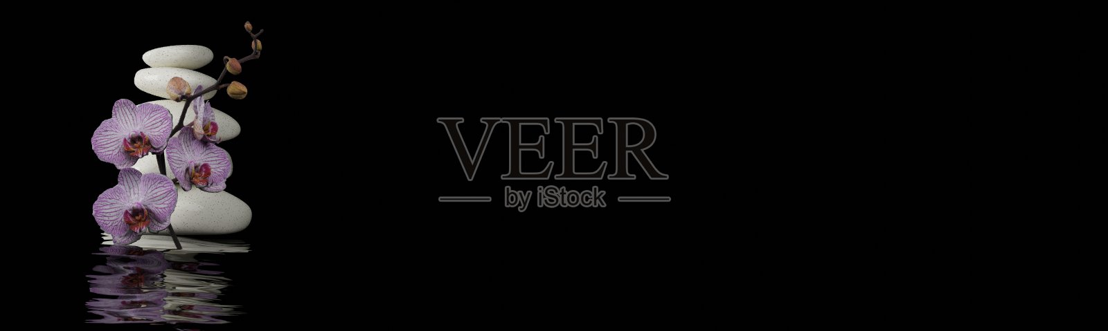 温泉静物，盛开的白色兰花与黑色禅宗石关闭。3 d渲染。照片摄影图片