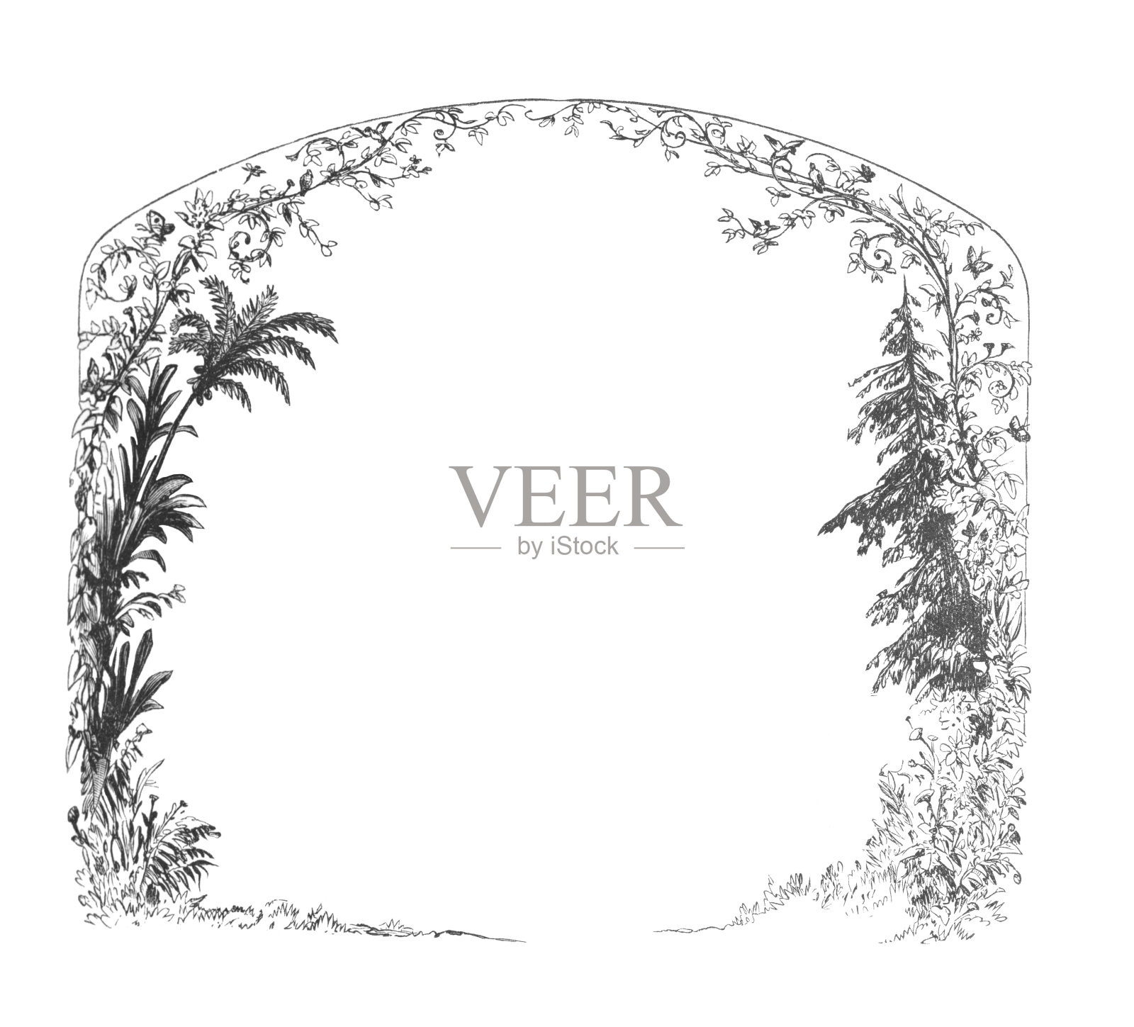 一个花卉设计框架与棕榈树和松树，古董版画插图插画图片素材