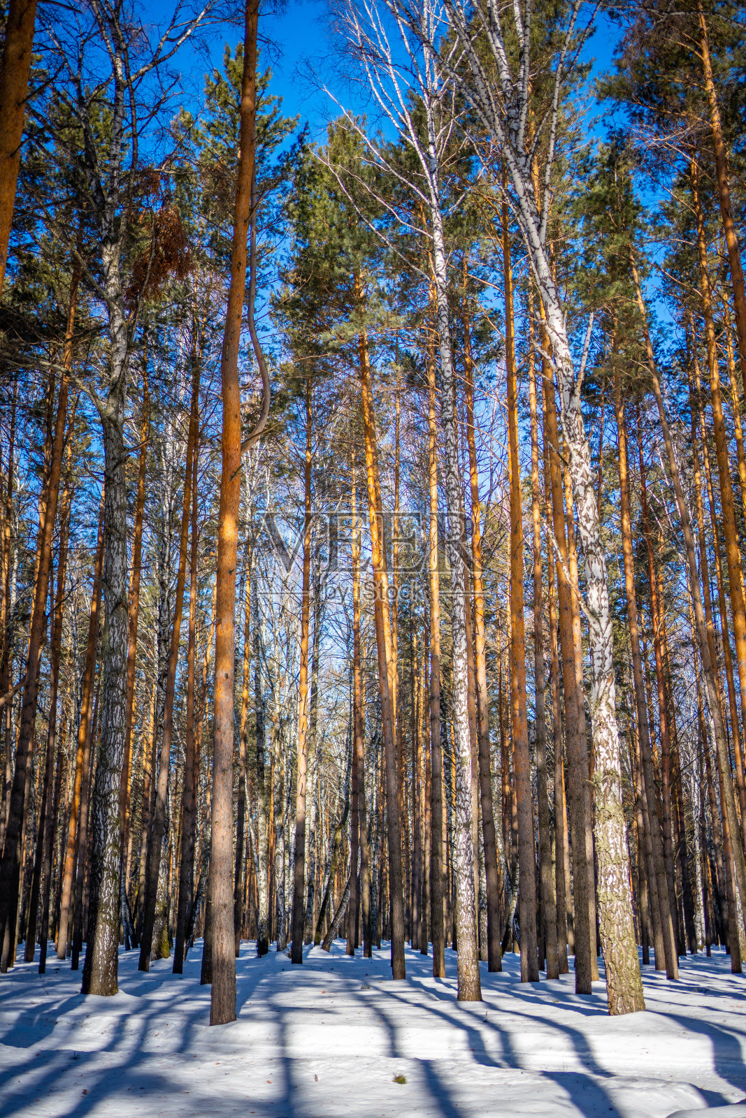 在西伯利亚克麦罗沃私人住宅的背景下，城市遭遇了大雪照片摄影图片