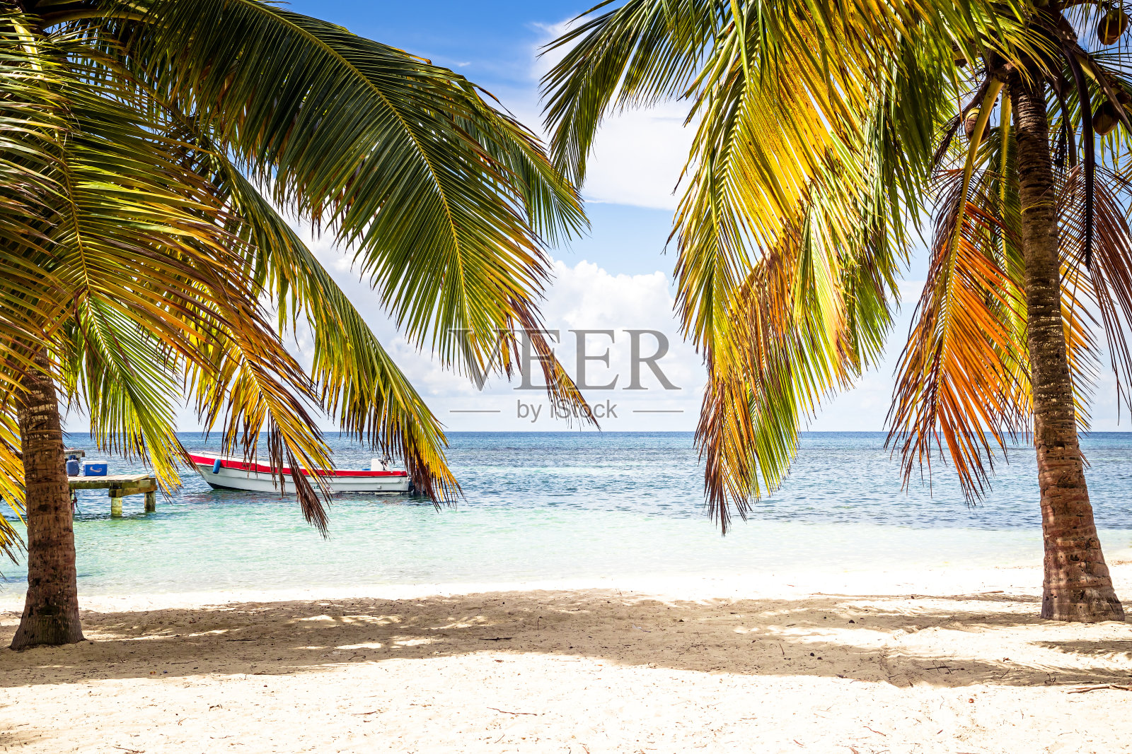 棕榈树在阳光明媚的海滩与加勒比海的背景，摩托艇在多米尼加共和国的绍纳岛作为热带风景照片摄影图片