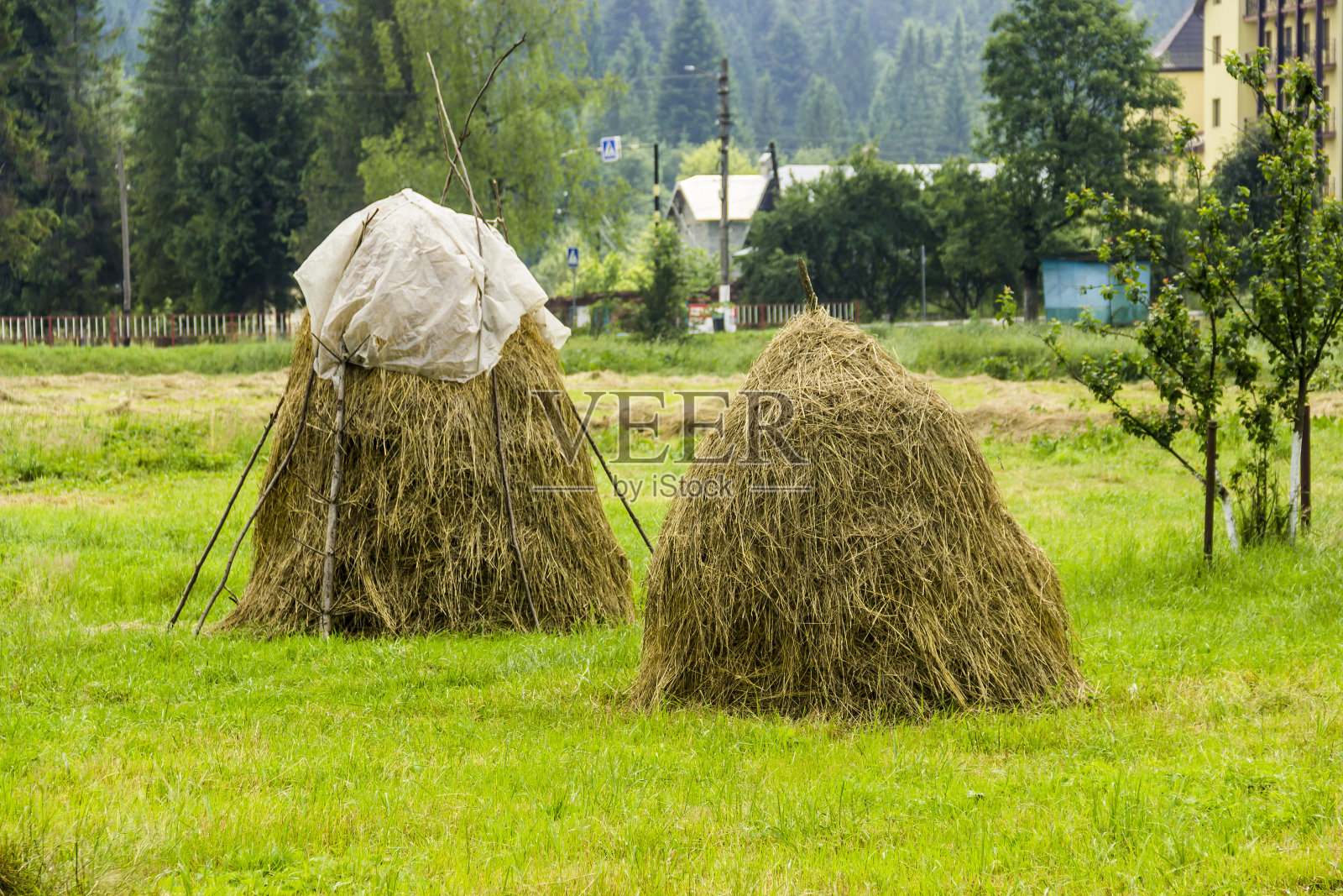 两个干草堆在乌克兰喀尔巴阡山区的一个村庄里照片摄影图片