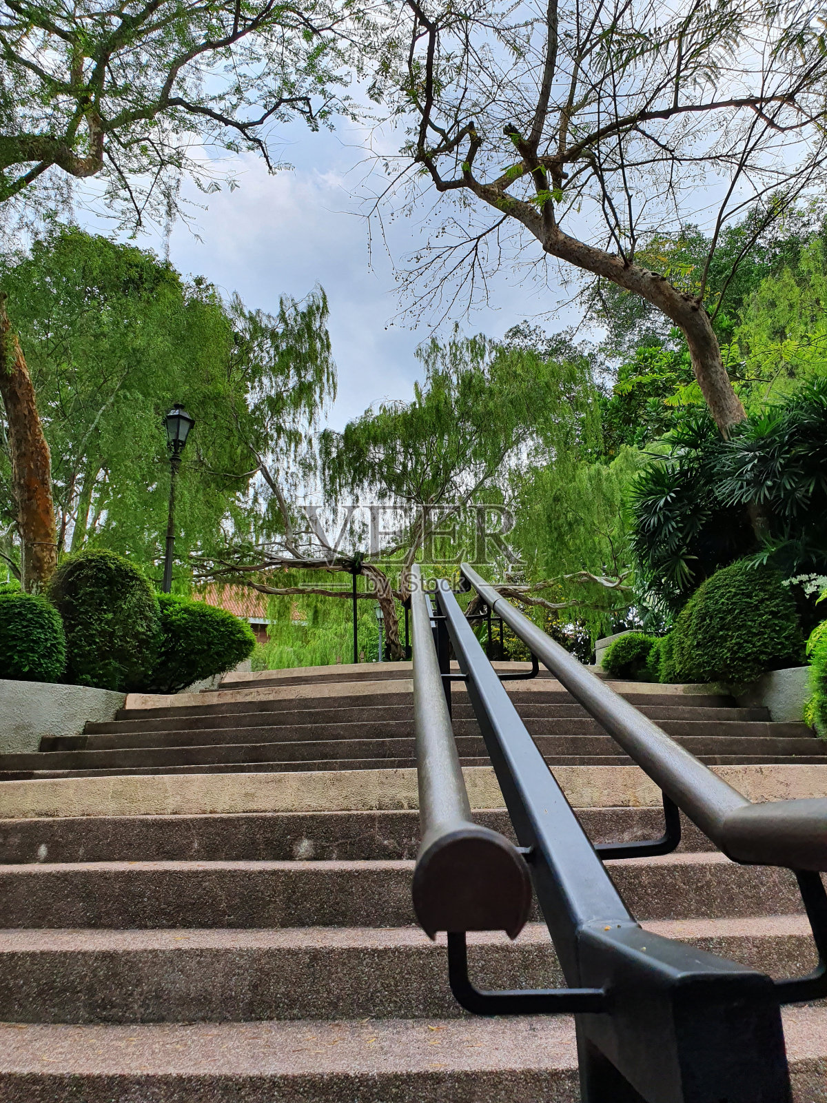 走近大自然照片摄影图片