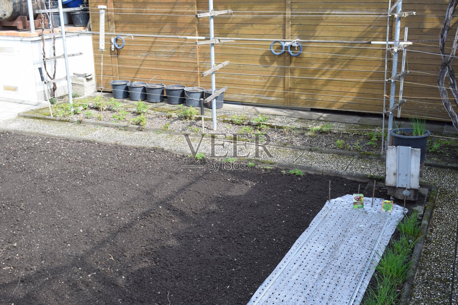 用塑料覆盖幼苗的春天花园照片摄影图片