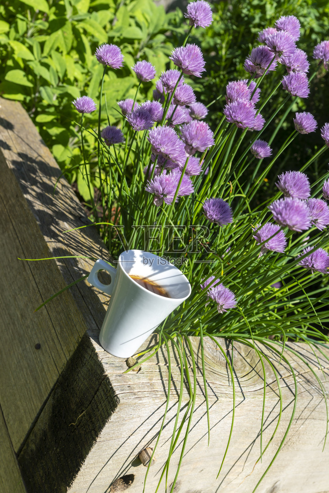 咖啡杯照片摄影图片