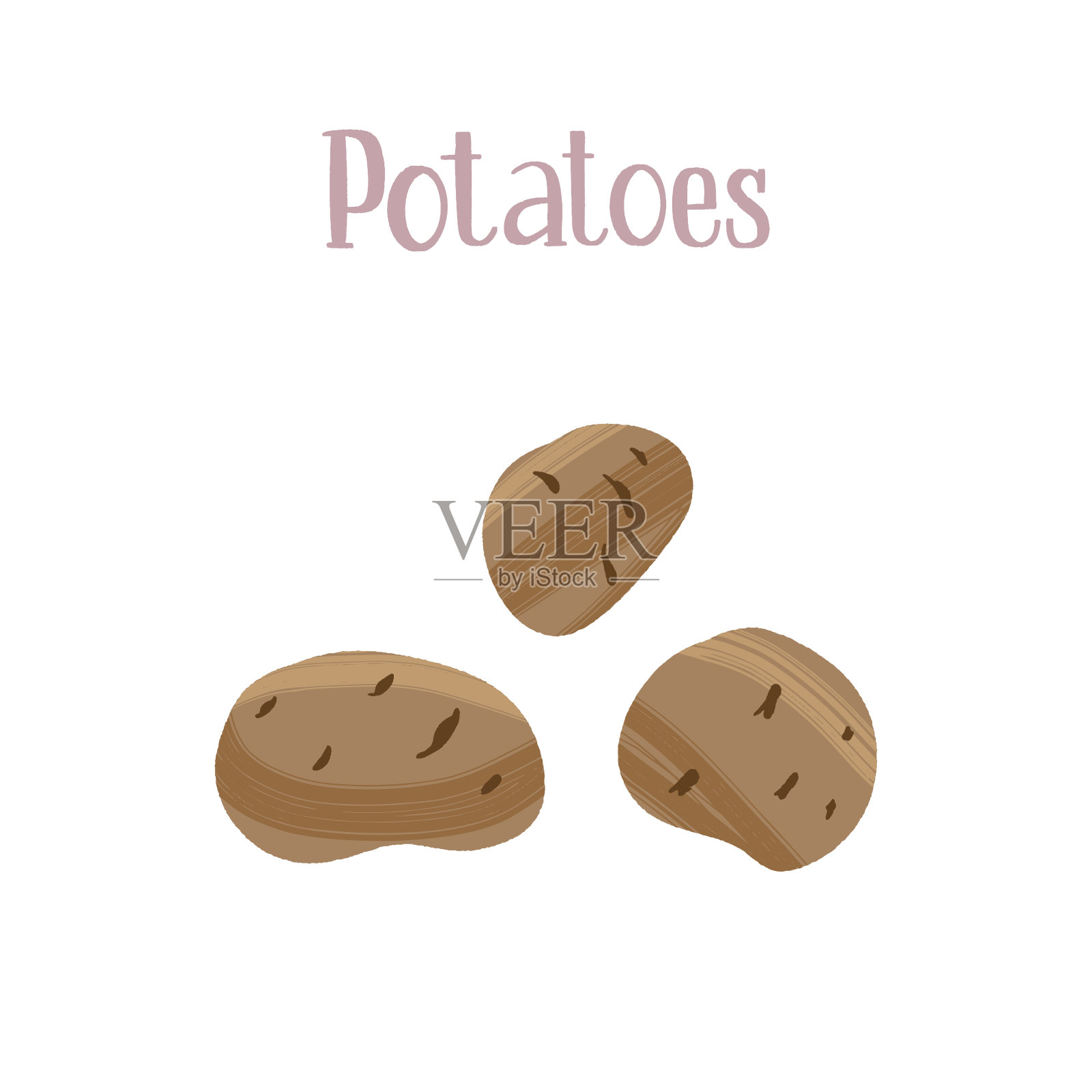 未剥皮的马铃薯块茎。碳水化合物是健康营养。插画图片素材