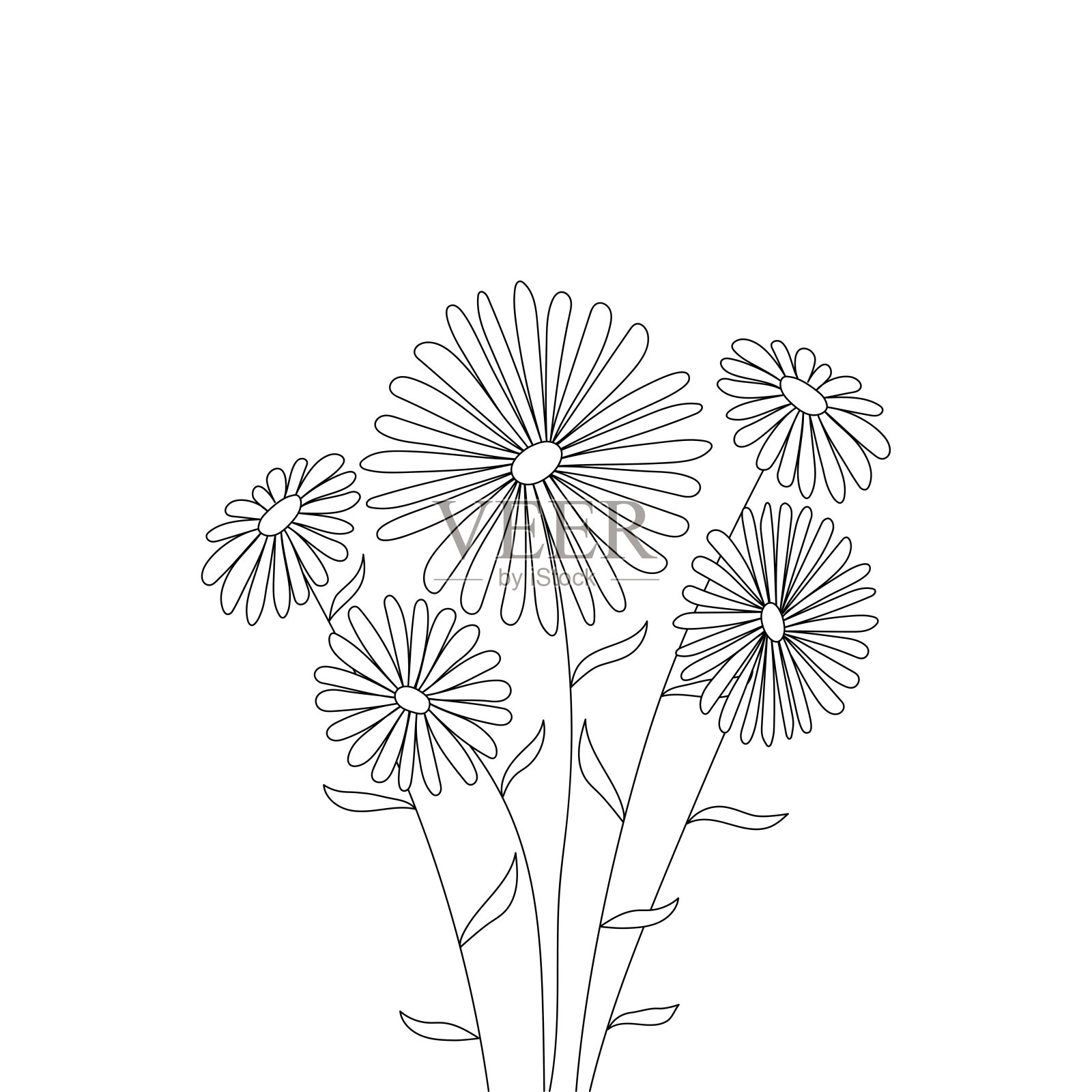 在白色背景上画上一条线的五朵雏菊。插画图片素材