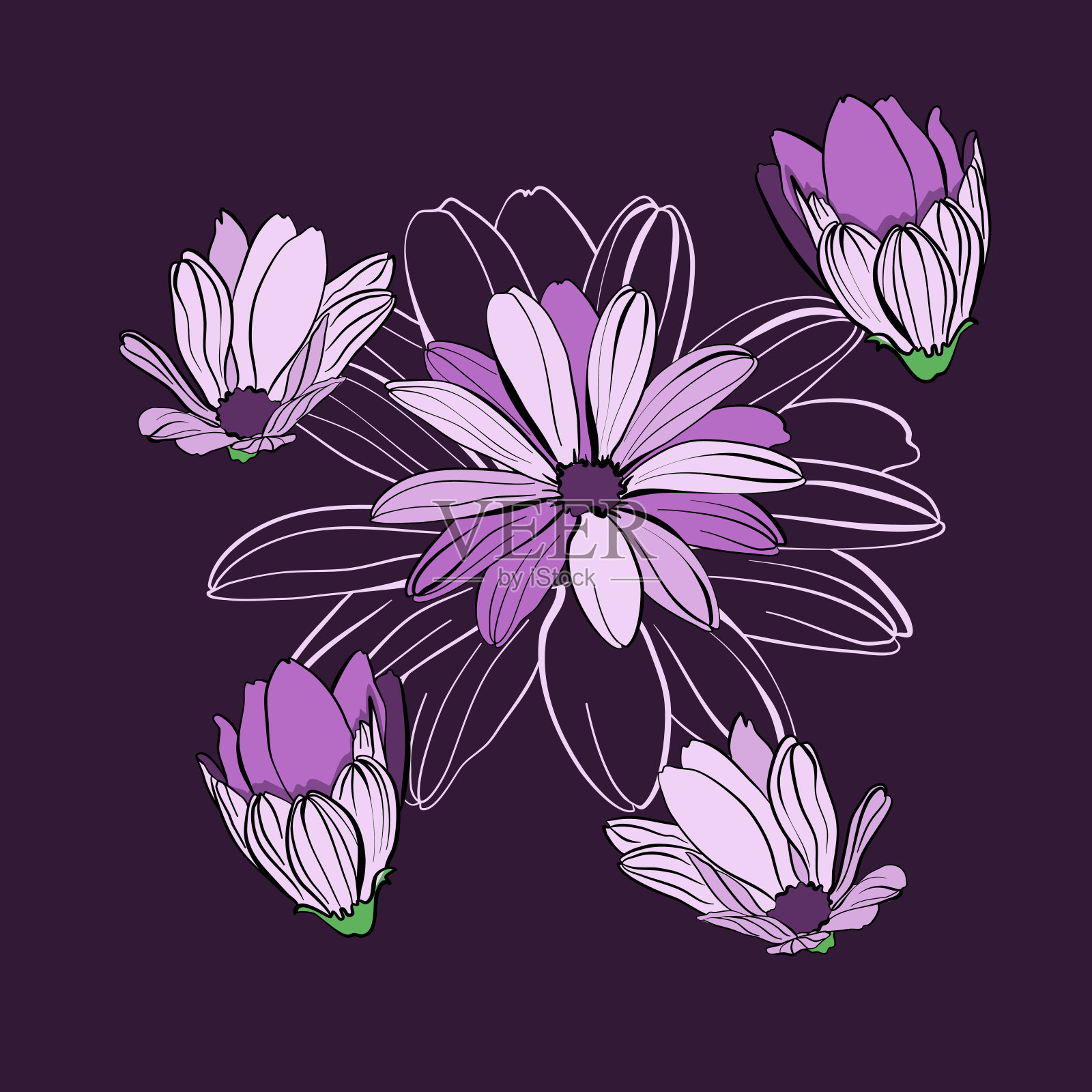 矢量插图与非洲雏菊插画图片素材