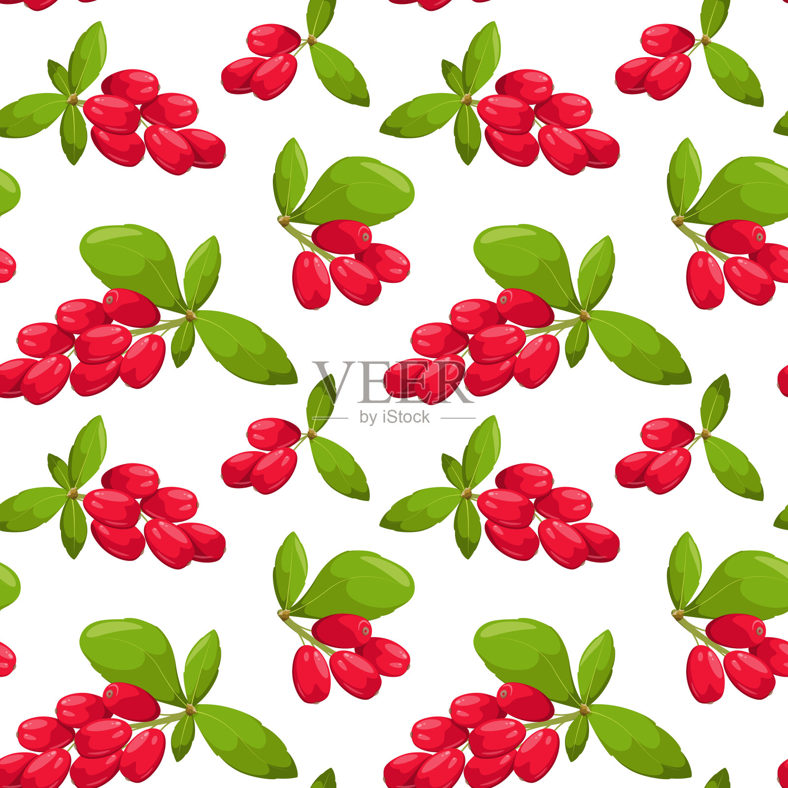 无缝模式与小檗小枝插画图片素材