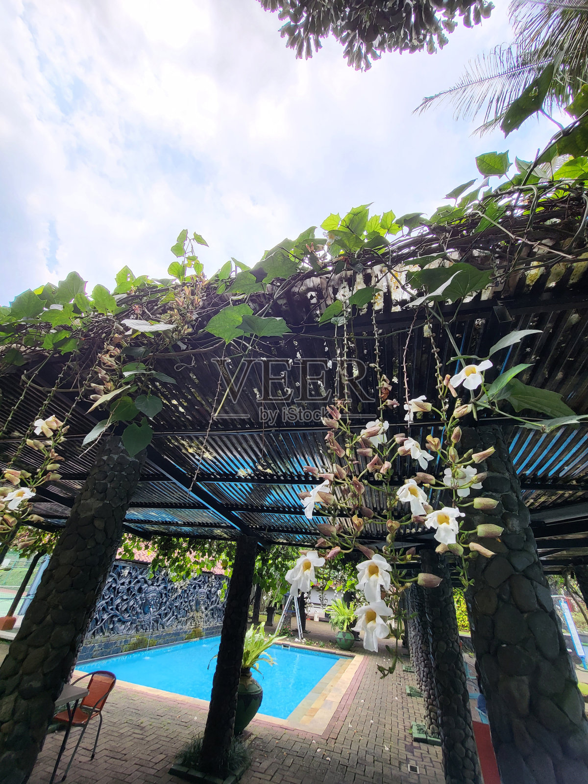 黑色金属做成的顶篷照片摄影图片