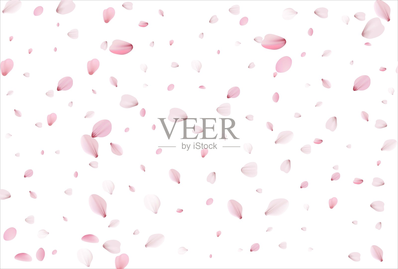 樱花花瓣背景。樱花的花瓣插画图片素材