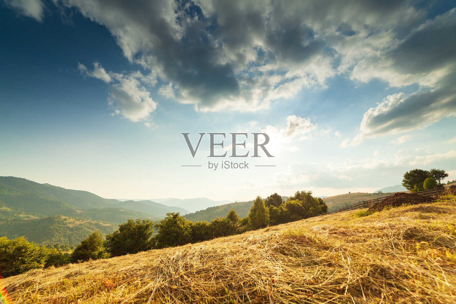 夏季野花的奇妙全景视野。喀尔巴阡山脉地区，位于西涅韦尔山口Kamyanka山之上。乌克兰。照片摄影图片