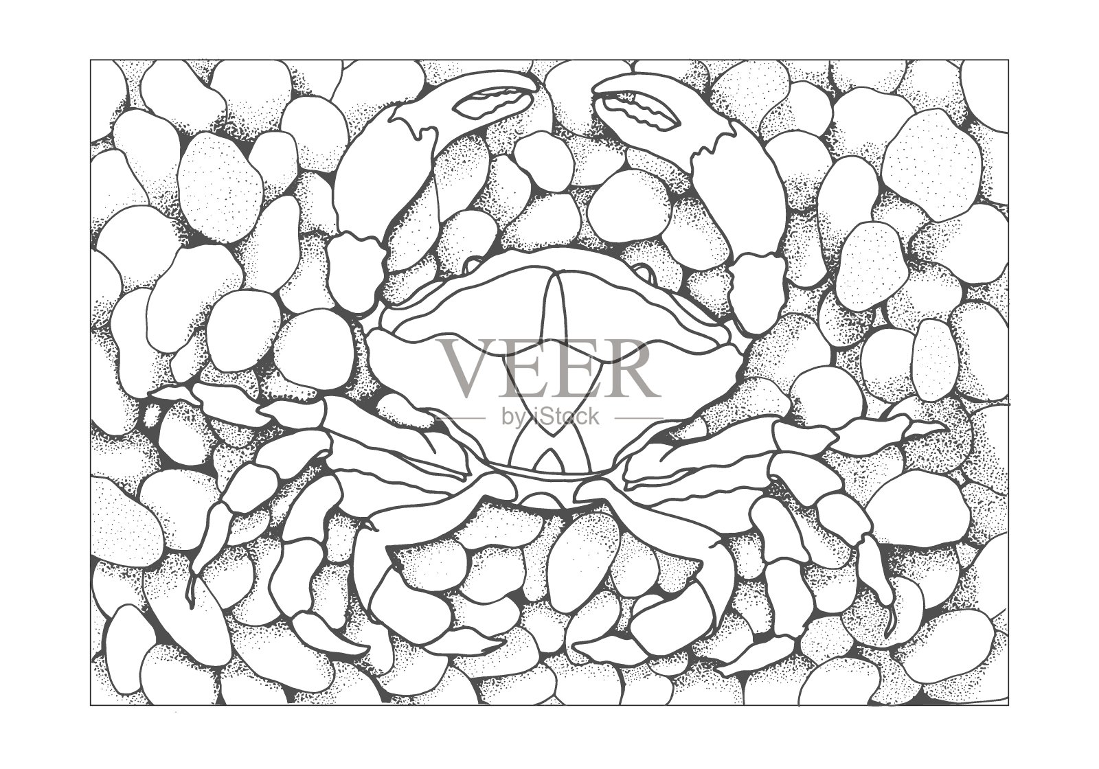 蟹在卵石上勾勒轮廓。龟色书，手绘的放松和压力缓解。成人涂色书与涂鸦，zentangle设计元素。插画图片素材