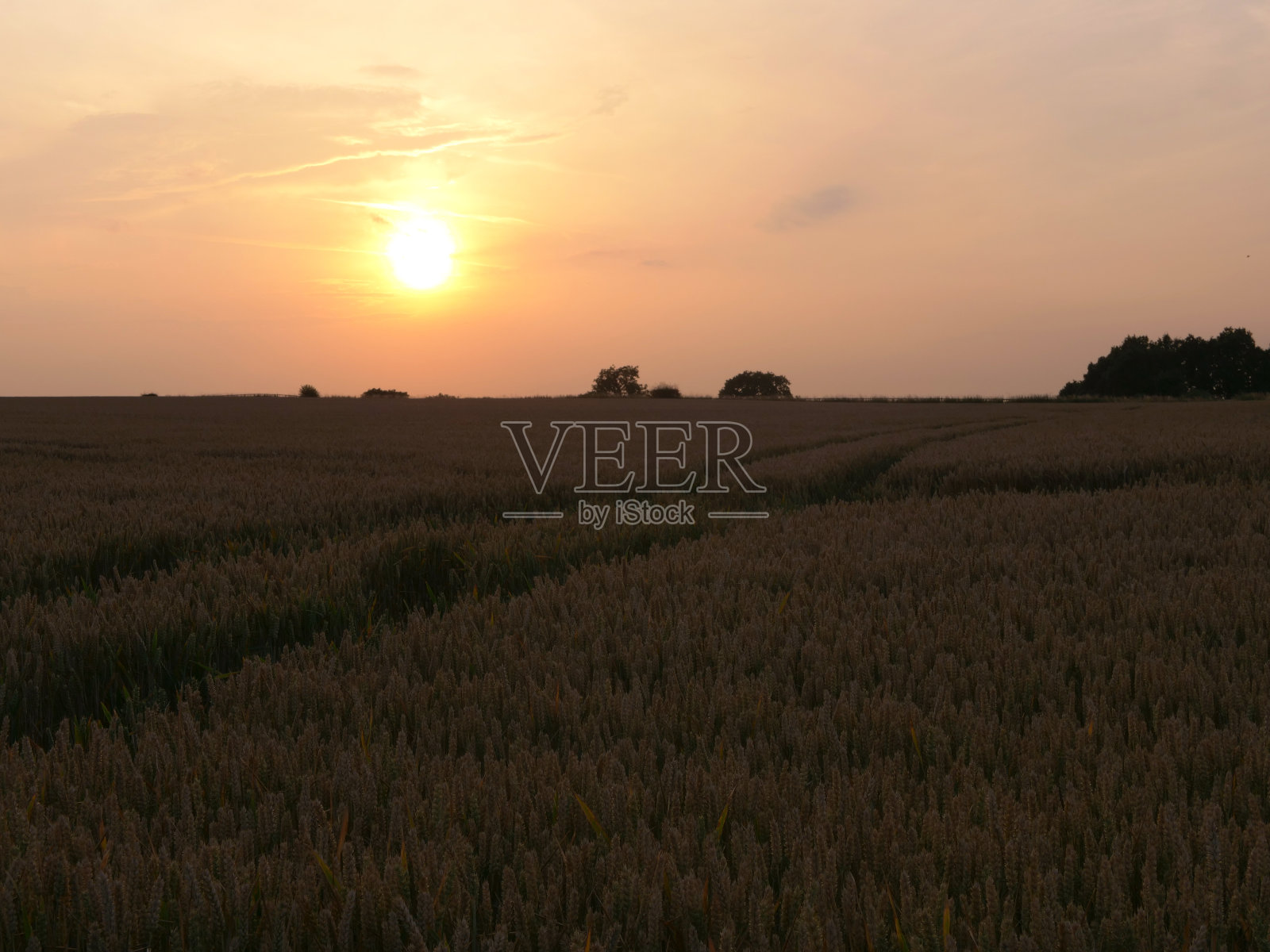 夕阳落在农民田间的剪影照片摄影图片