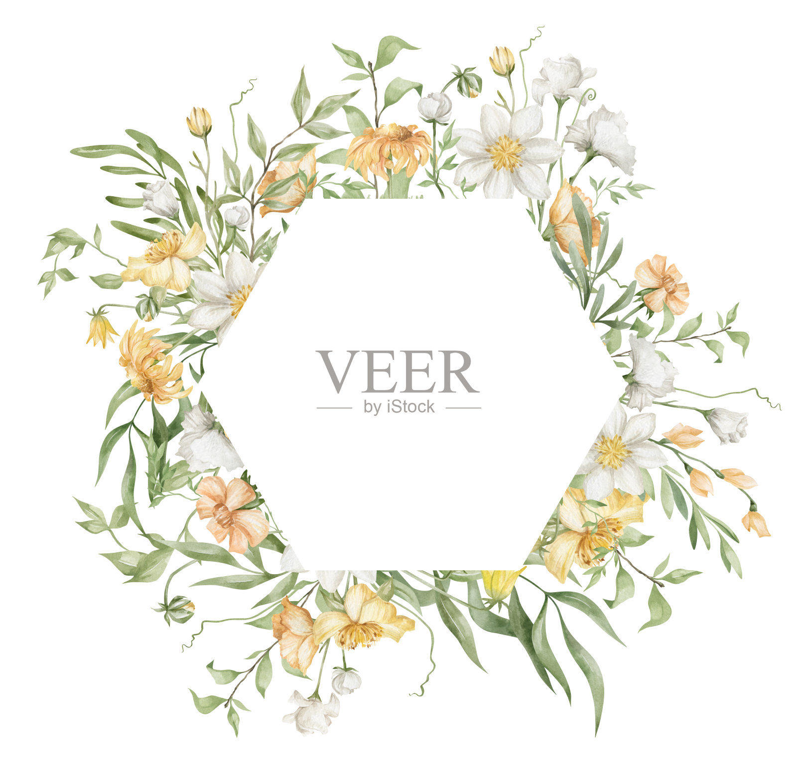 水彩植物插画图片素材