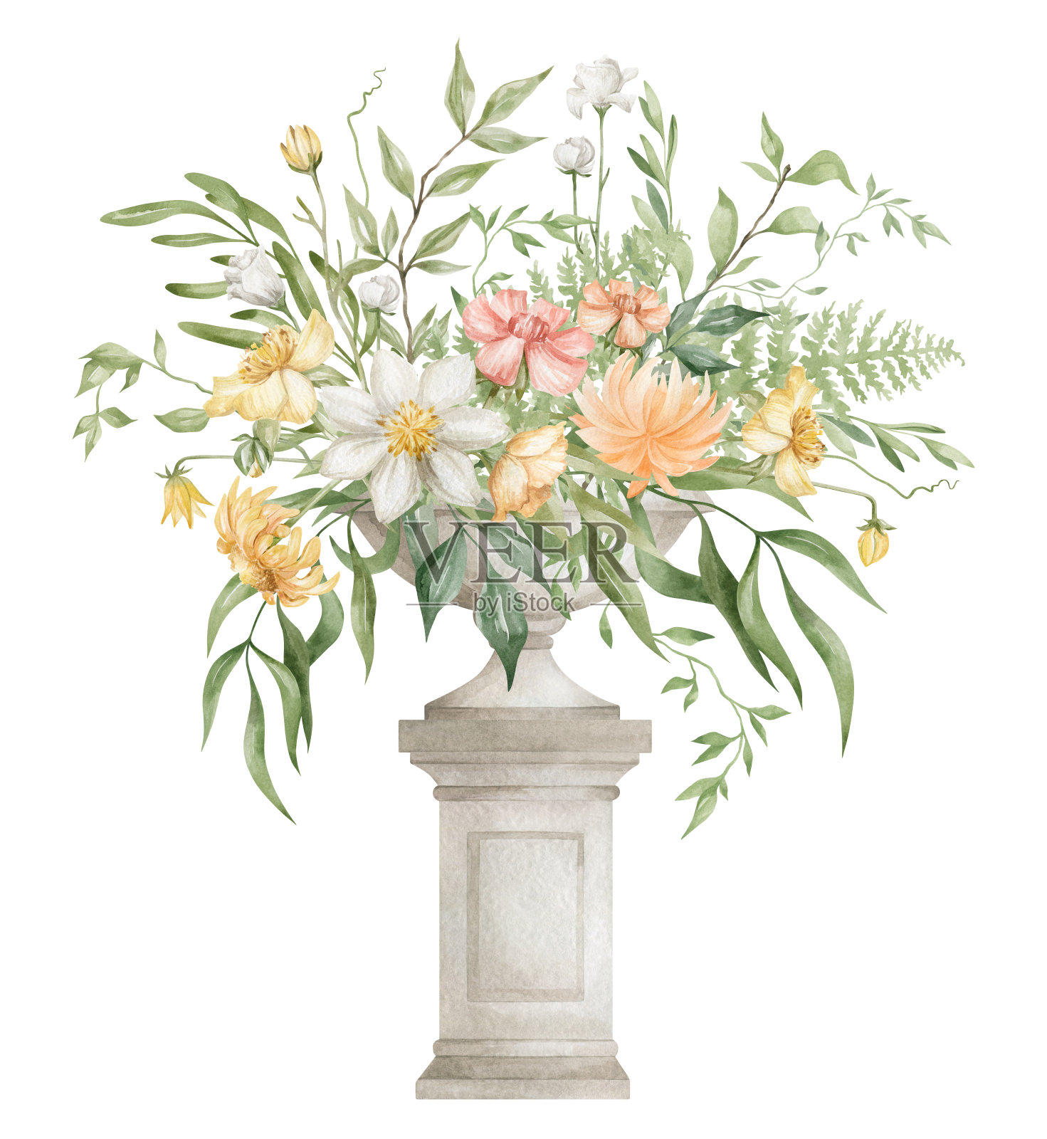 水彩植物插画图片素材