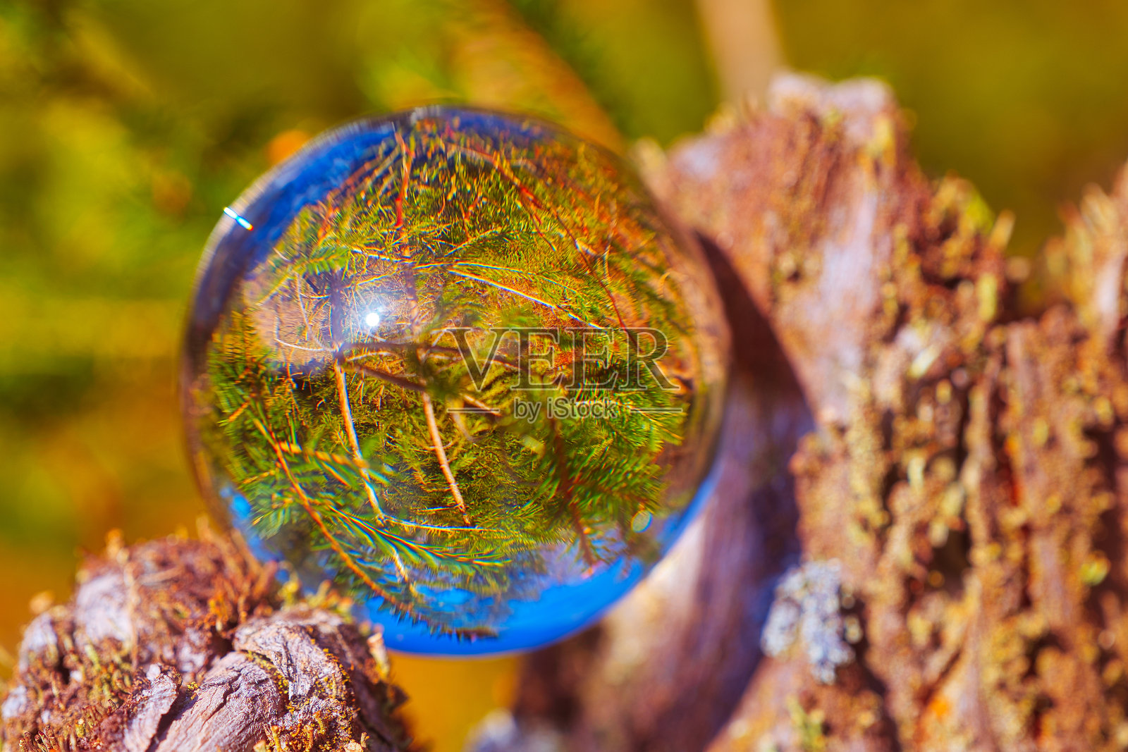 在图林根森林里的镜头球照片摄影图片