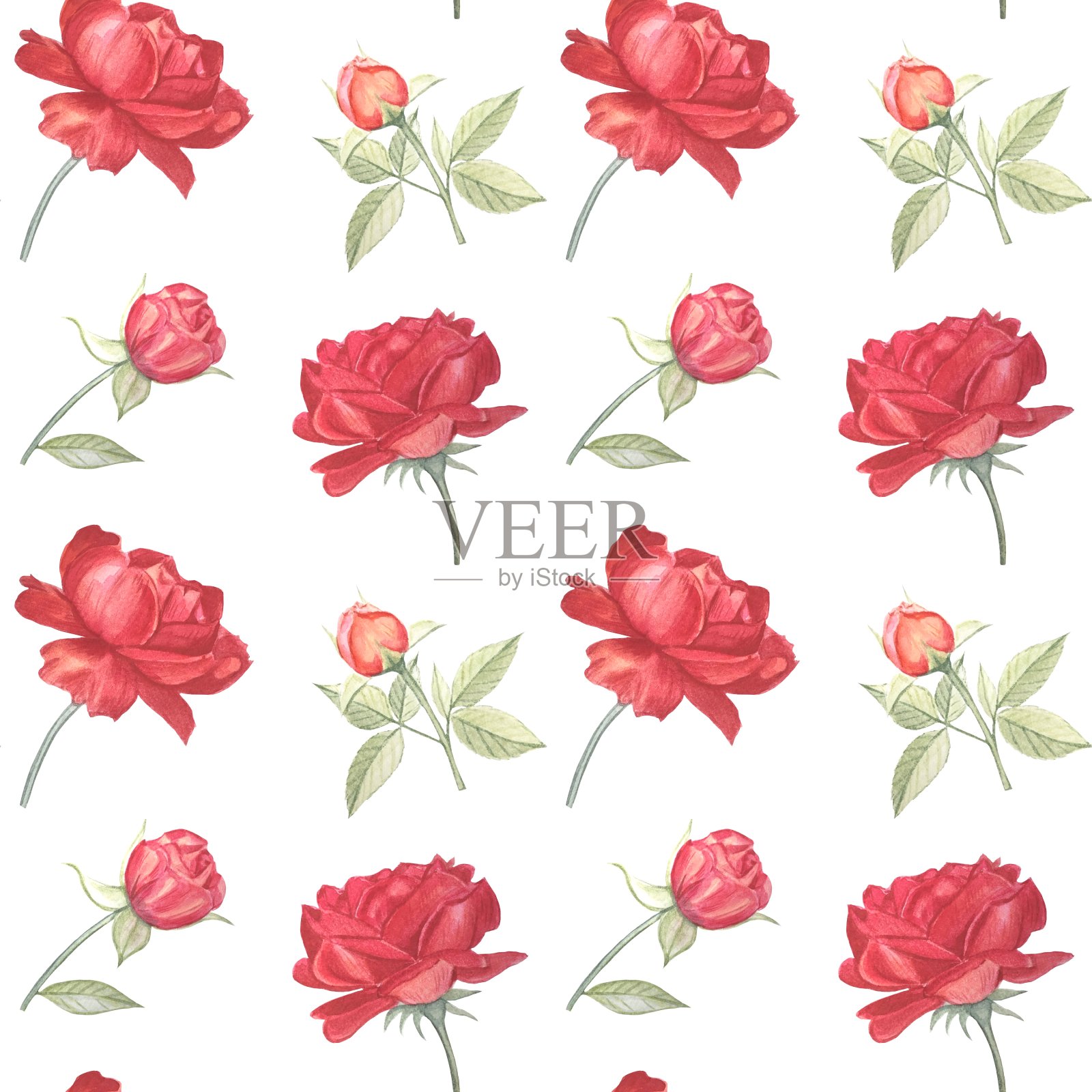 无缝图案与红色玫瑰花蕾在白色背景插画图片素材