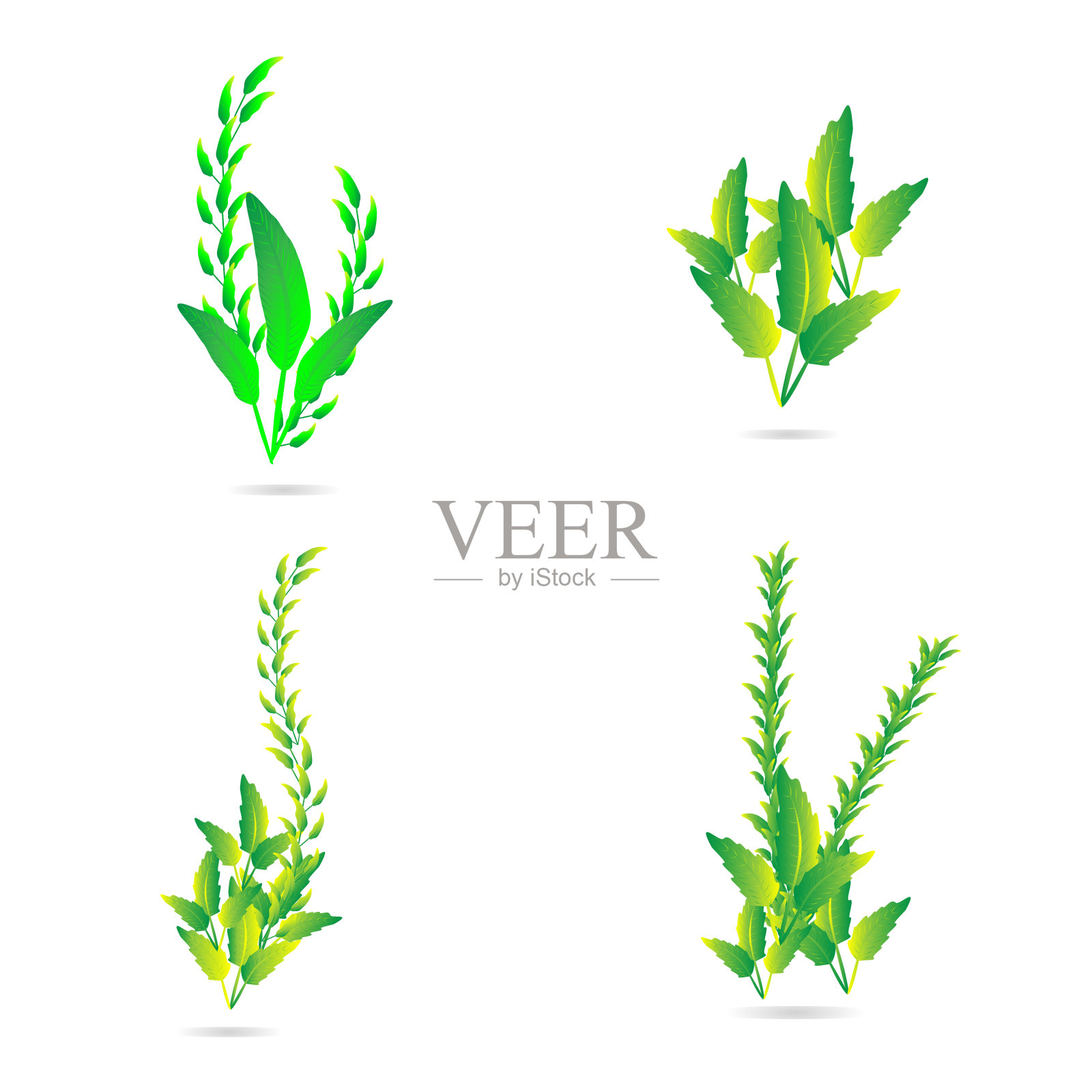 绿叶植物装饰抽象背景艺术图形设计图案矢量插图照片摄影图片
