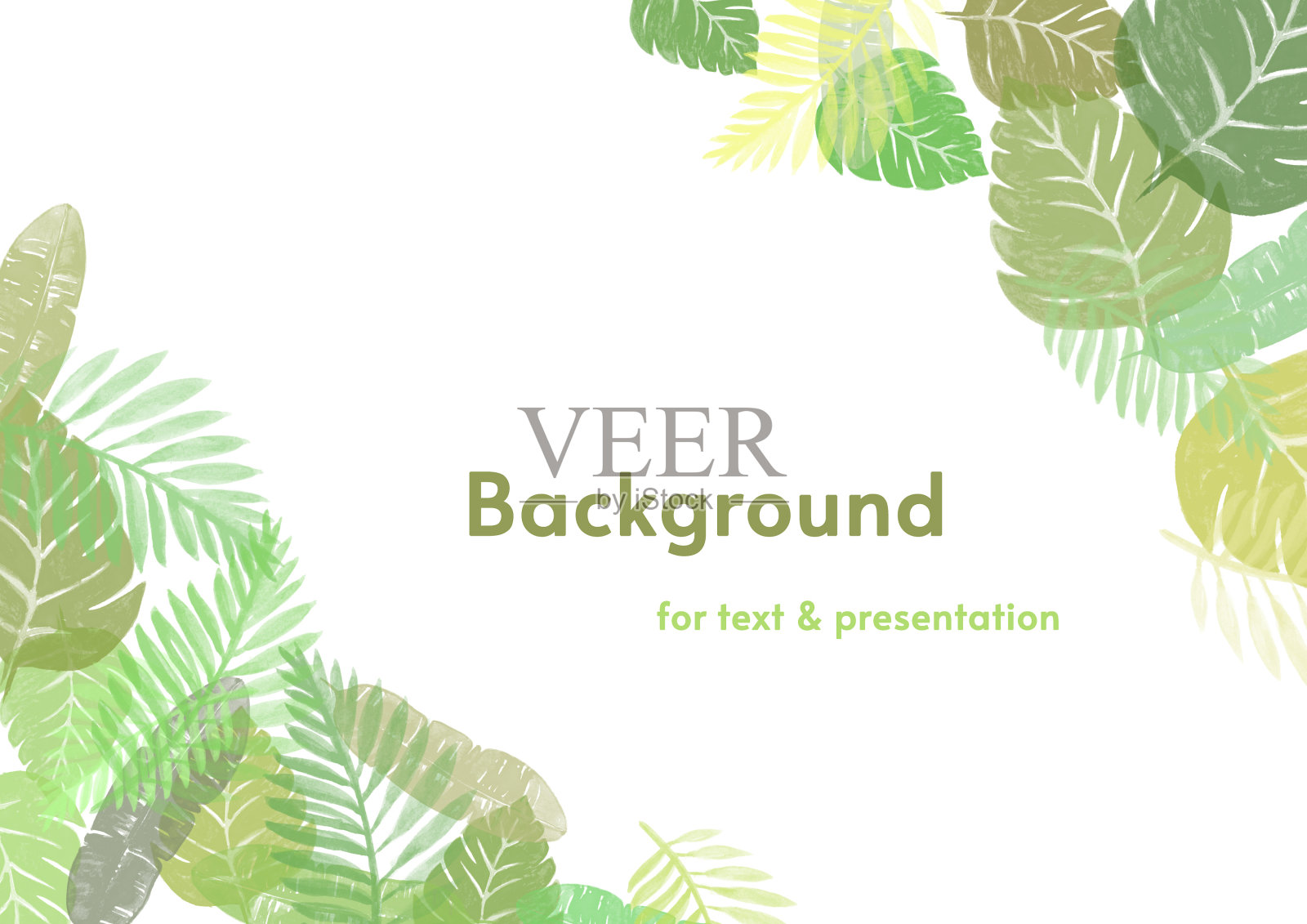 绿色和黄色的叶子在白色的背景上插画图片素材